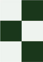 A patterned design with alternating dark green and white rectangular blocks arranged in a vertical stripe pattern.