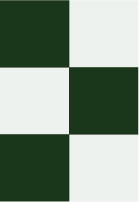 Abstract geometric pattern with green, white, and dark green squares and rectangles.