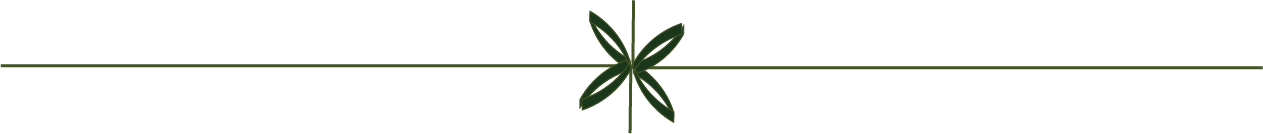 Green decorative butterfly at the top center of a black and green background with a green line.