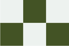A checkered pattern with green and white squares arranged in a grid.