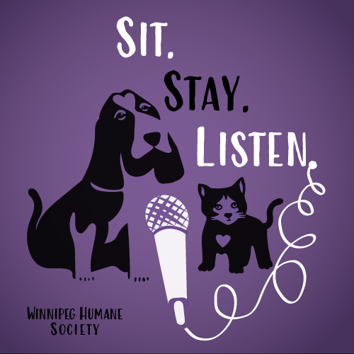 A poster with illustrations of a dog and a cat, a microphone, and a headphone cord, with the words 'Sit. Stay. Listen.' and 'Winnipeg Humane Society' at the bottom.