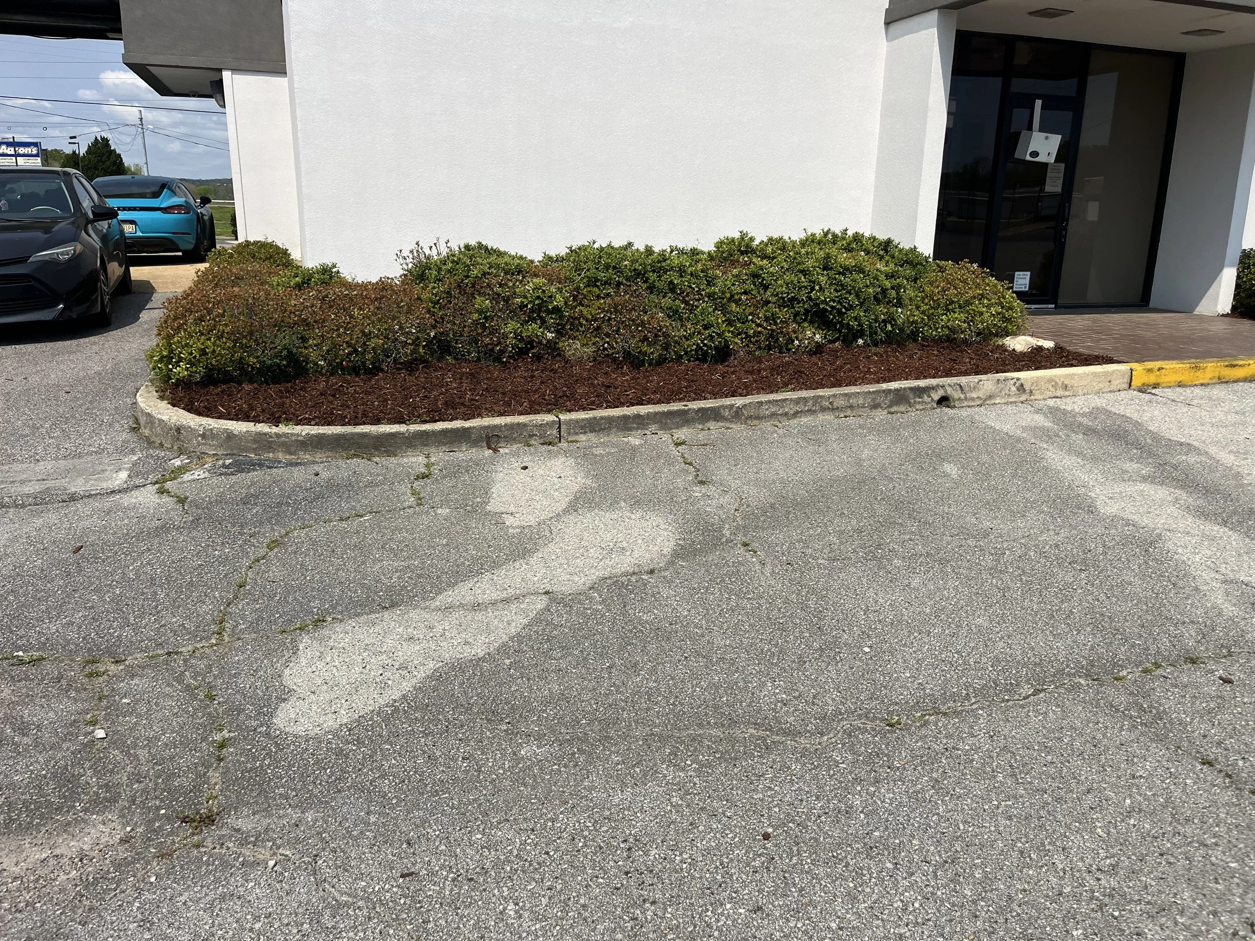 A small landscaped area with bushes and mulch outside a building, with cars parked nearby and a cracked parking lot in the foreground.