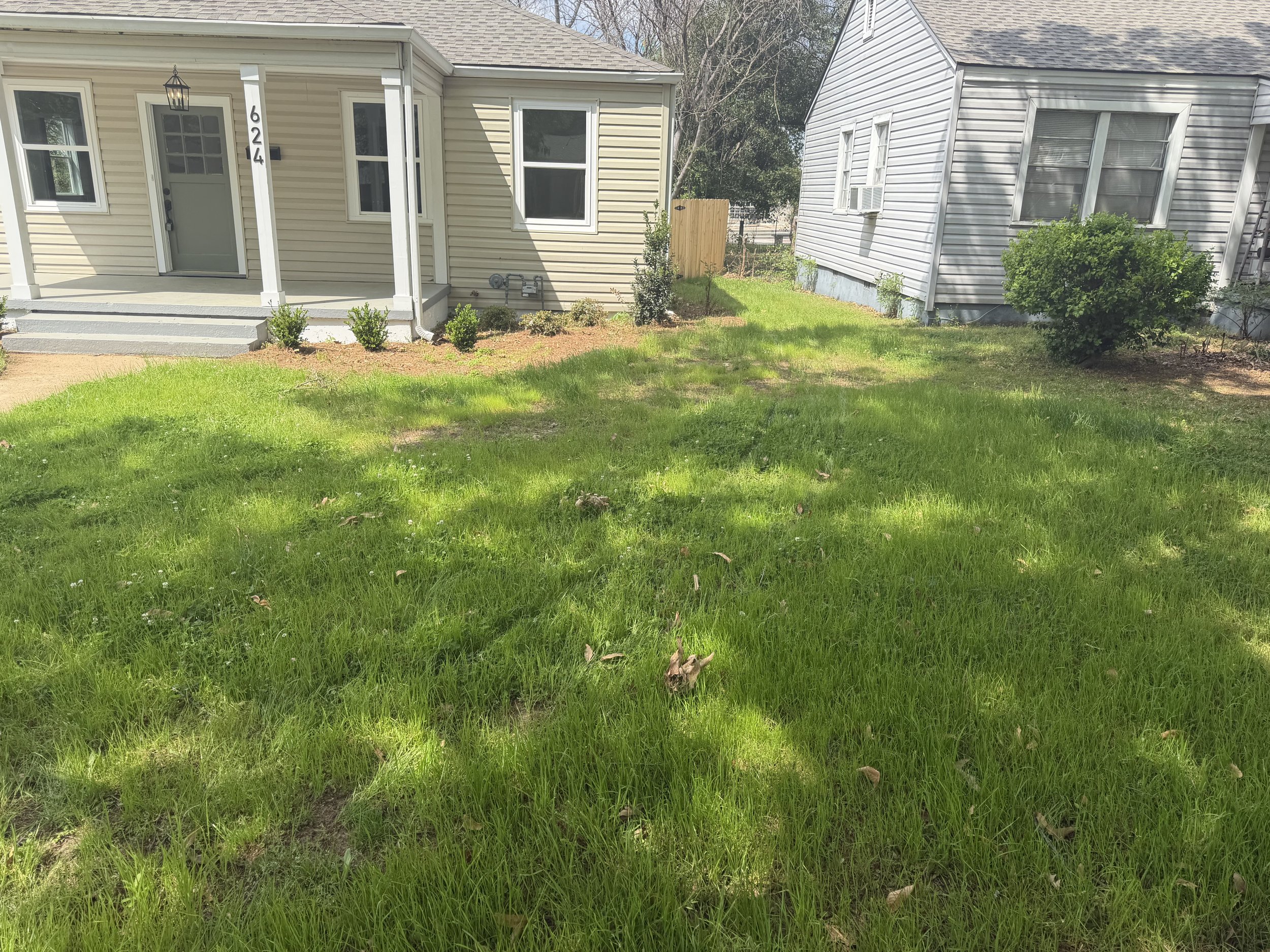 View of a backyard with green grass, two houses, and a small shrub on the right side.