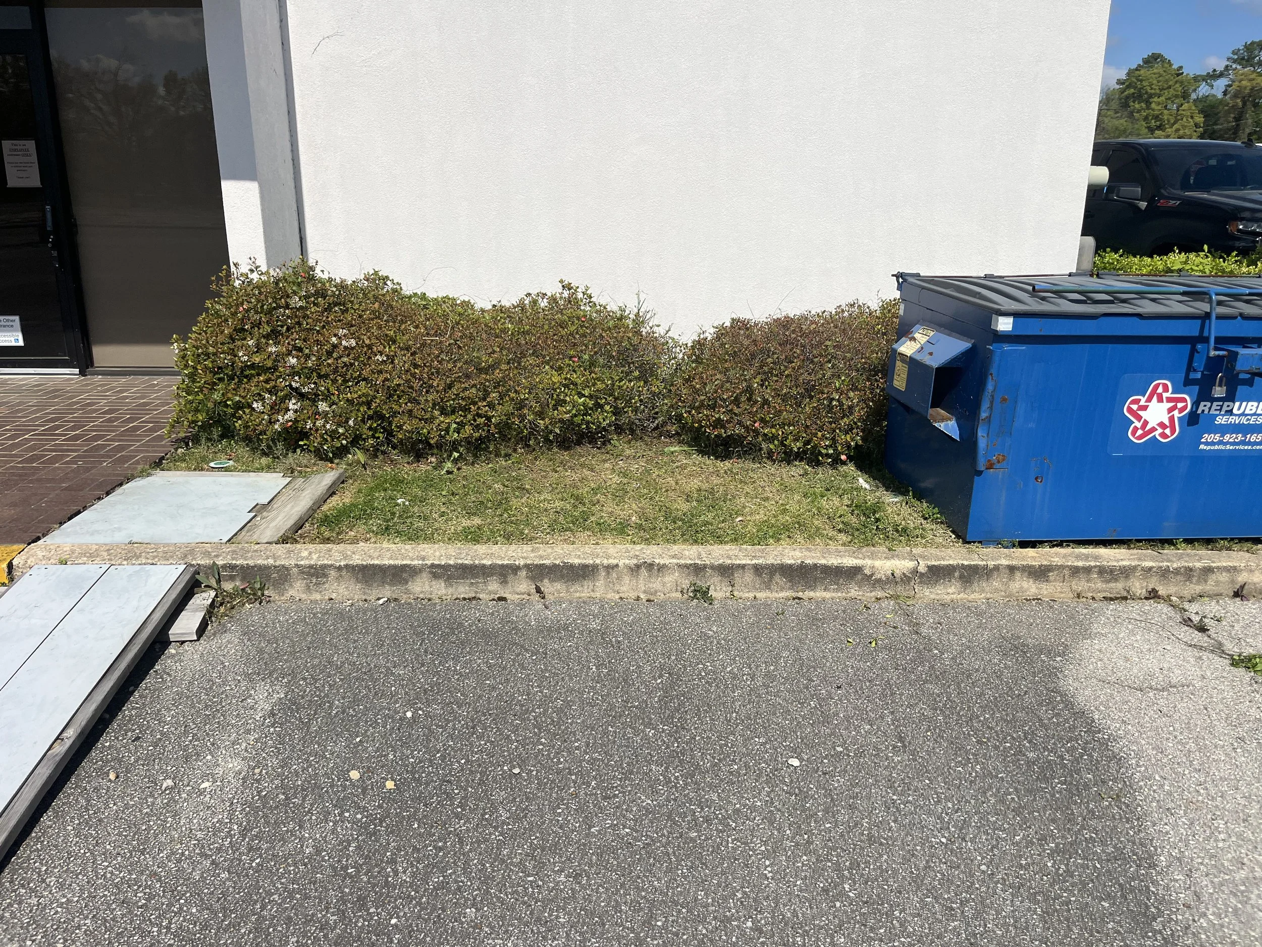 A blue trash dumpster with a logo and contact information, positioned next to shrubs and a white wall on a parking lot, with a black vehicle in the background.