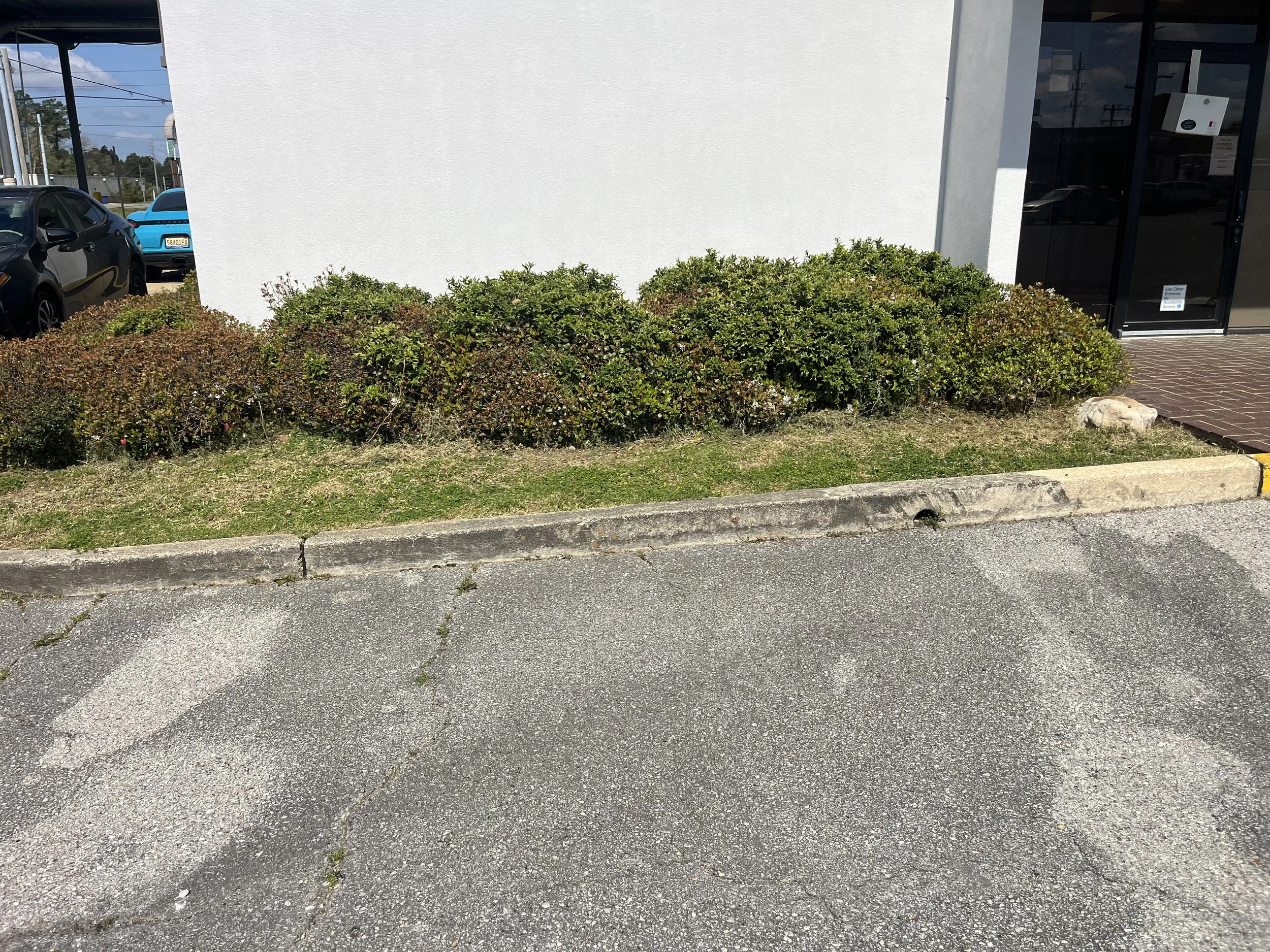 A small landscaped area with green bushes and grass in front of a white building, next to a parking lot with several cars.