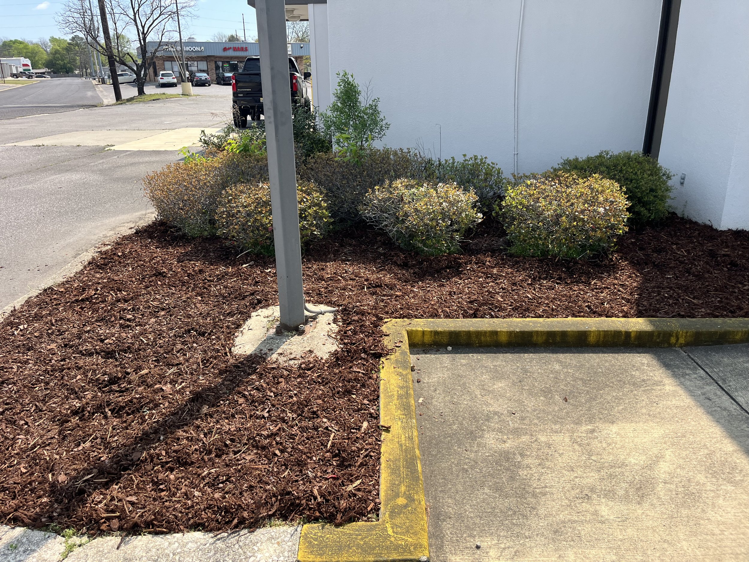 A small landscaped area with mulch, bushes, and a metal signpost next to a parking space with a yellow curb.