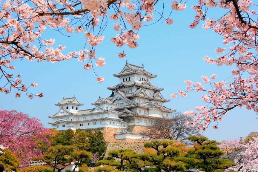 Turning Credit Card Points Into A Japan Trip