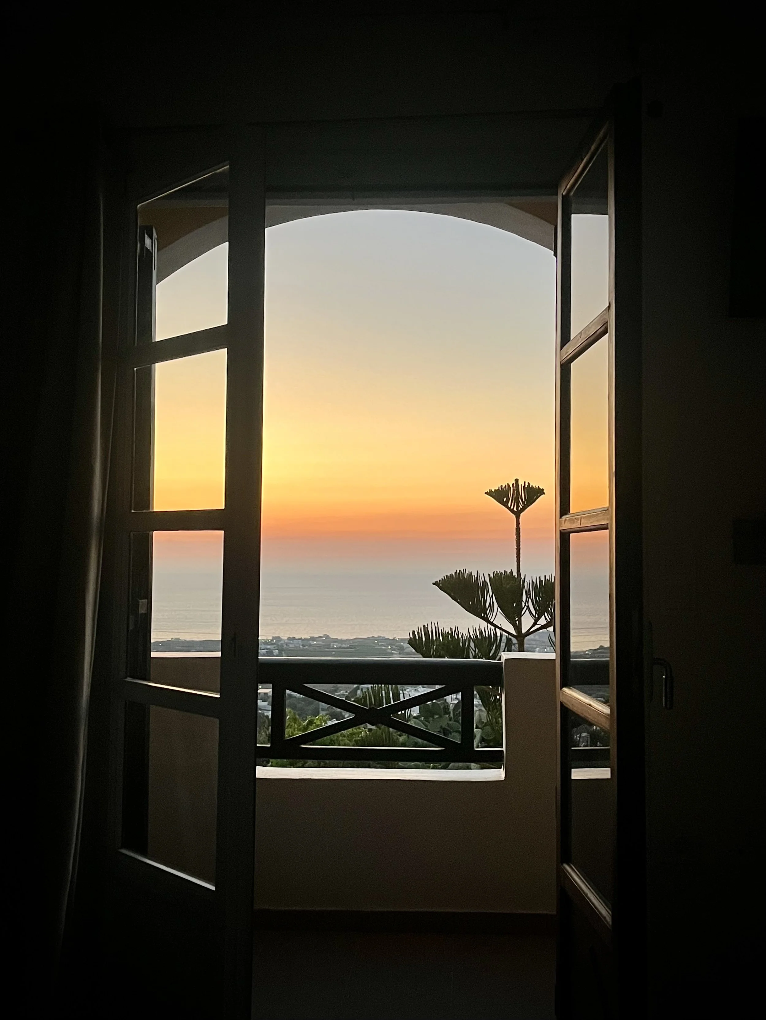 View of sunset over the ocean seen through open balcony doors with a plant silhouettes in the foreground.