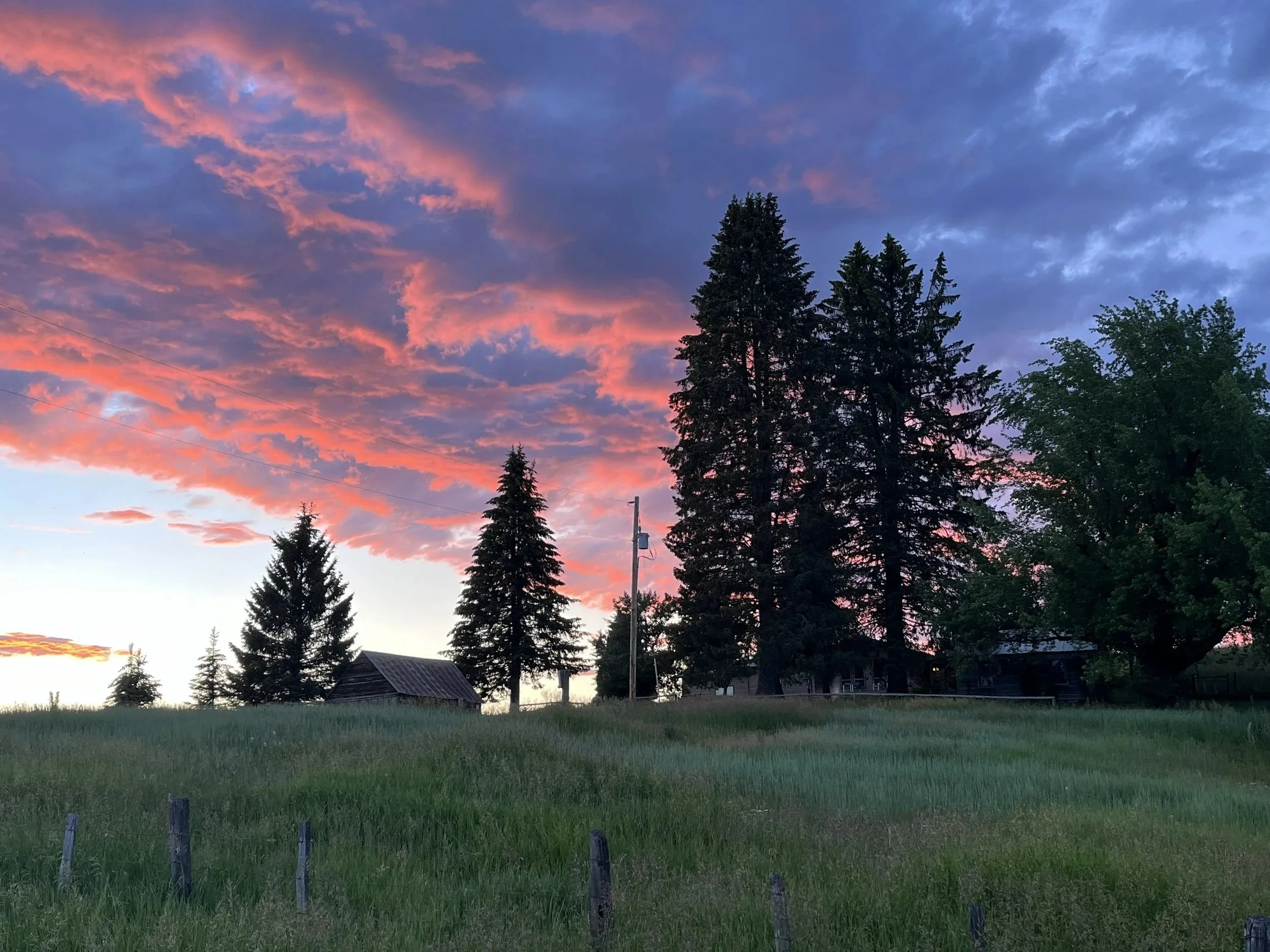 Colorful skies