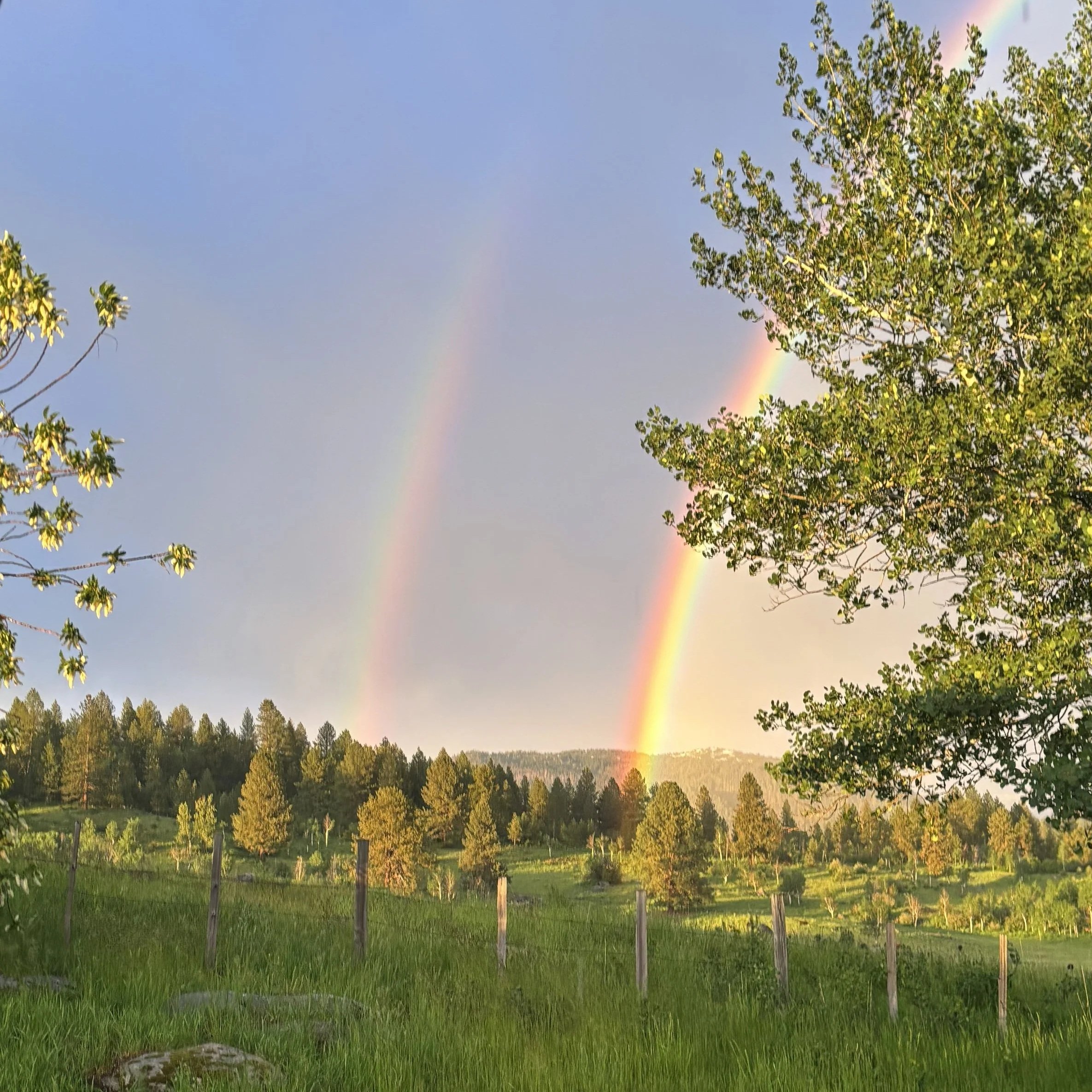 Double rainbows at the ranch
