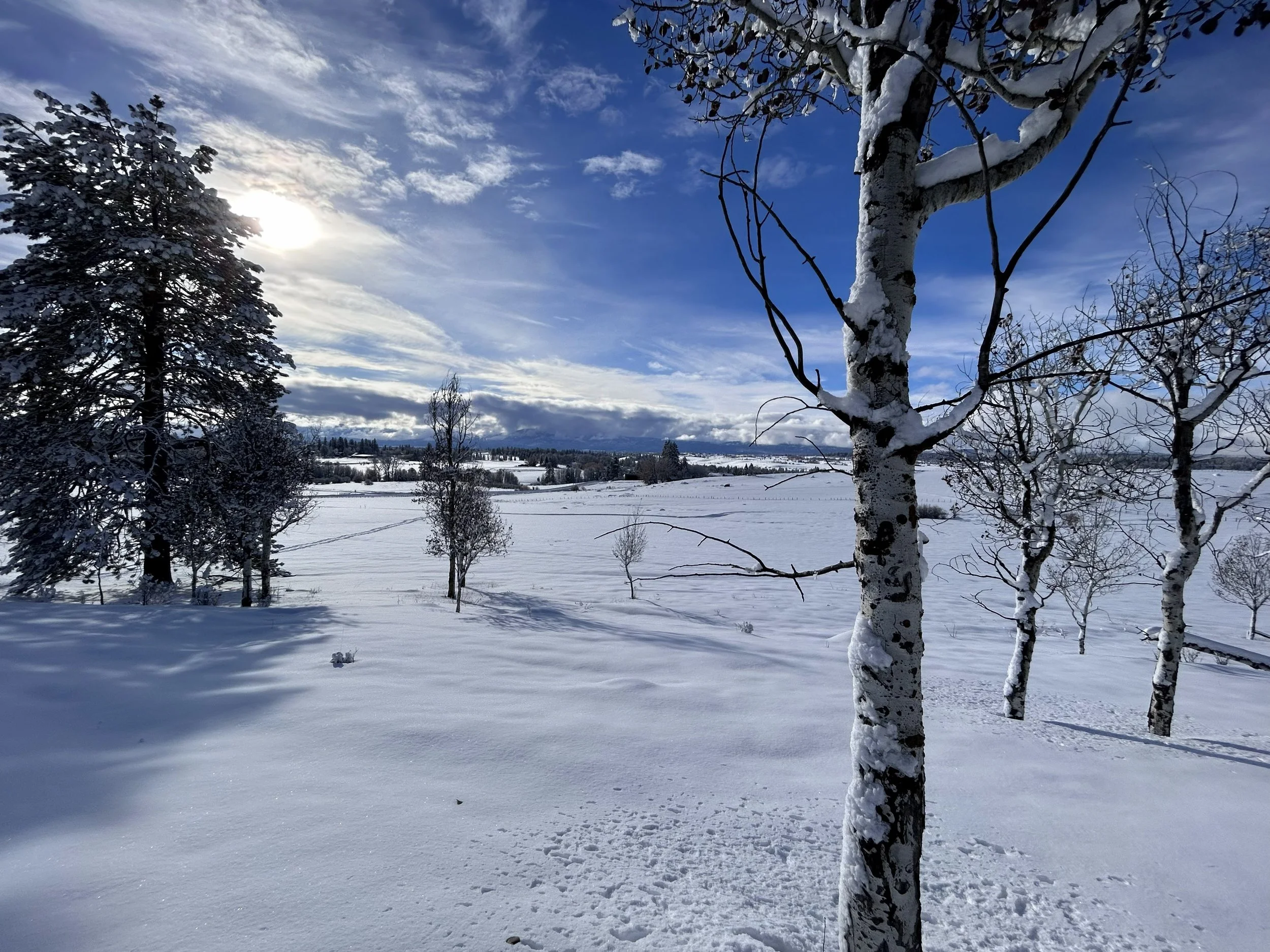 Bluebird winter days