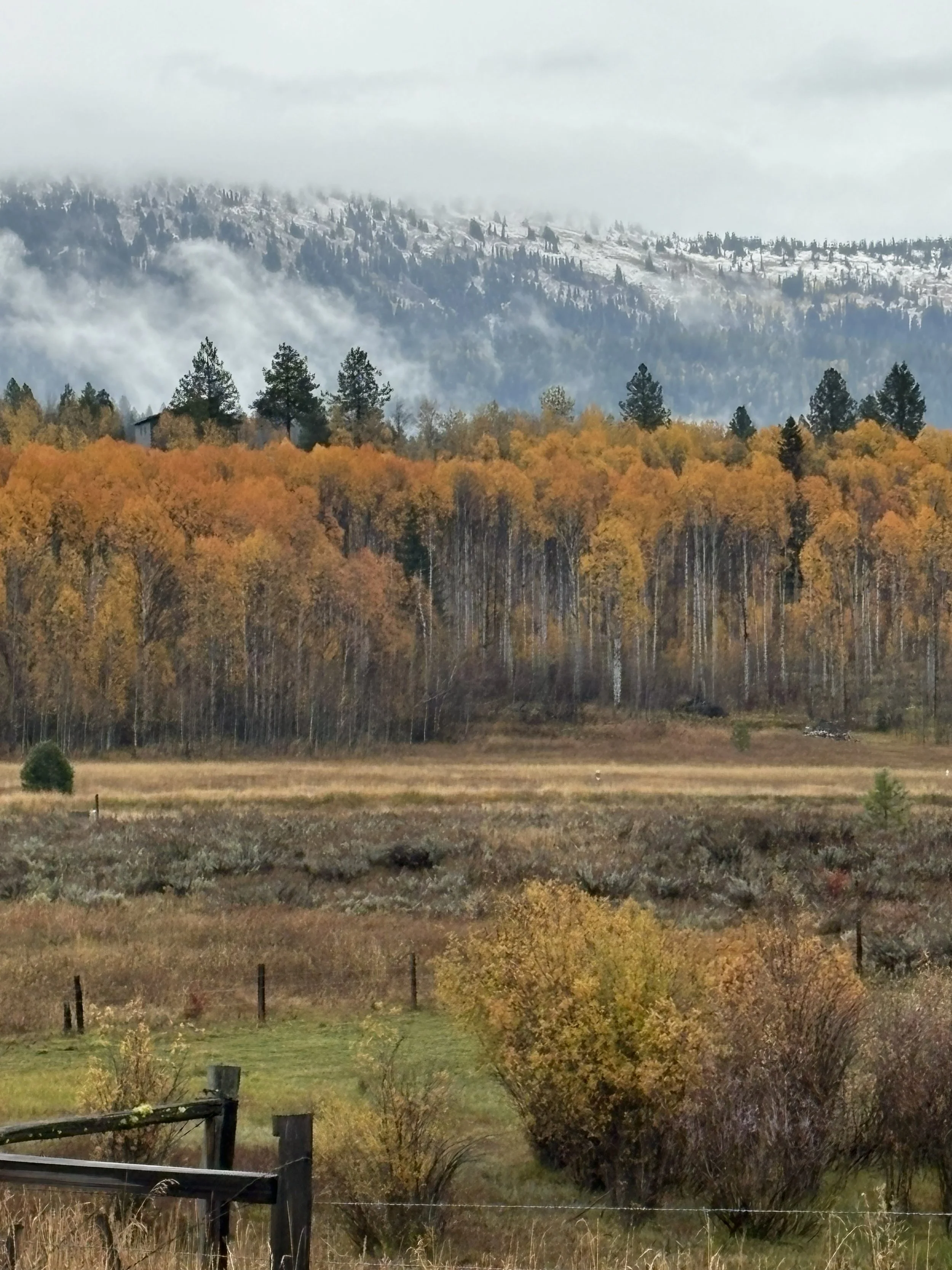 Fall becoming winter
