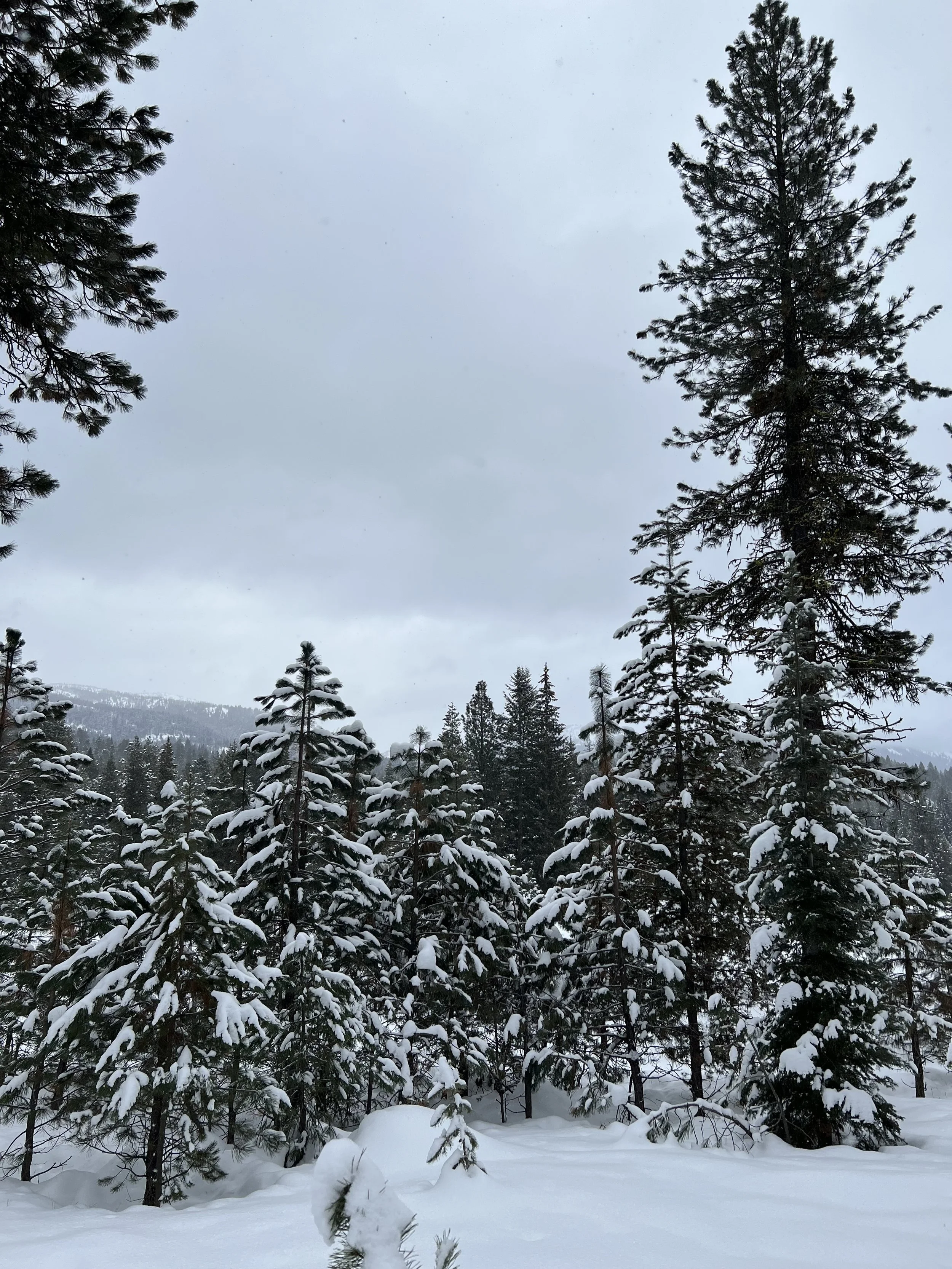 Winter is setting in