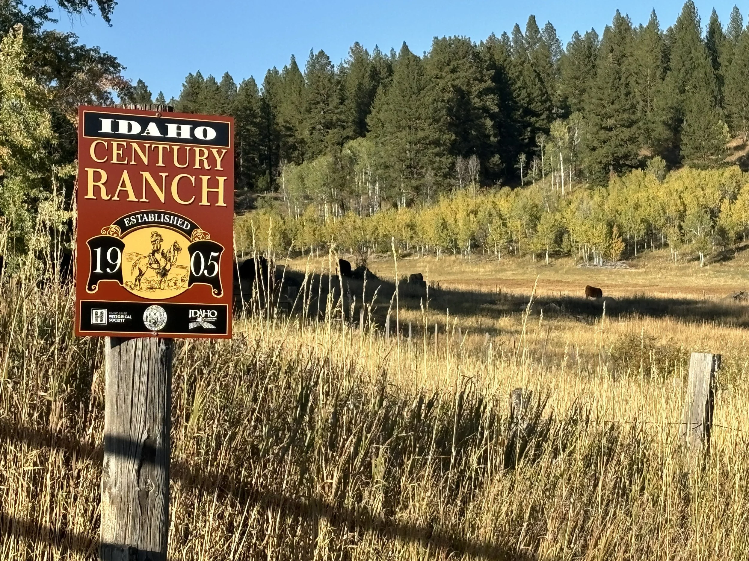 A sign reading "Idaho Century Ranch established 1905" stands in a field of tall grass, with a forested hillside and trees in the background under a clear blue sky.