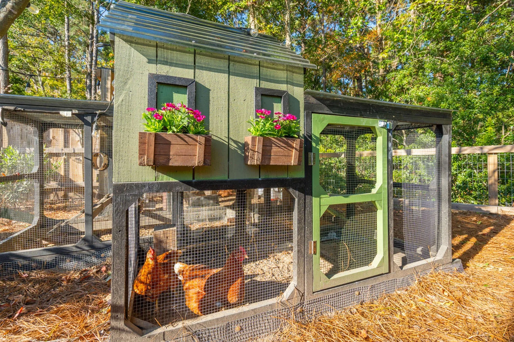 Chicken Coop (Copy)
