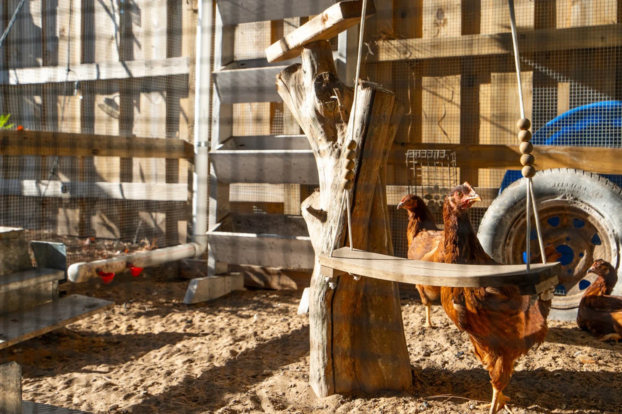 Chicken Coop (Copy)