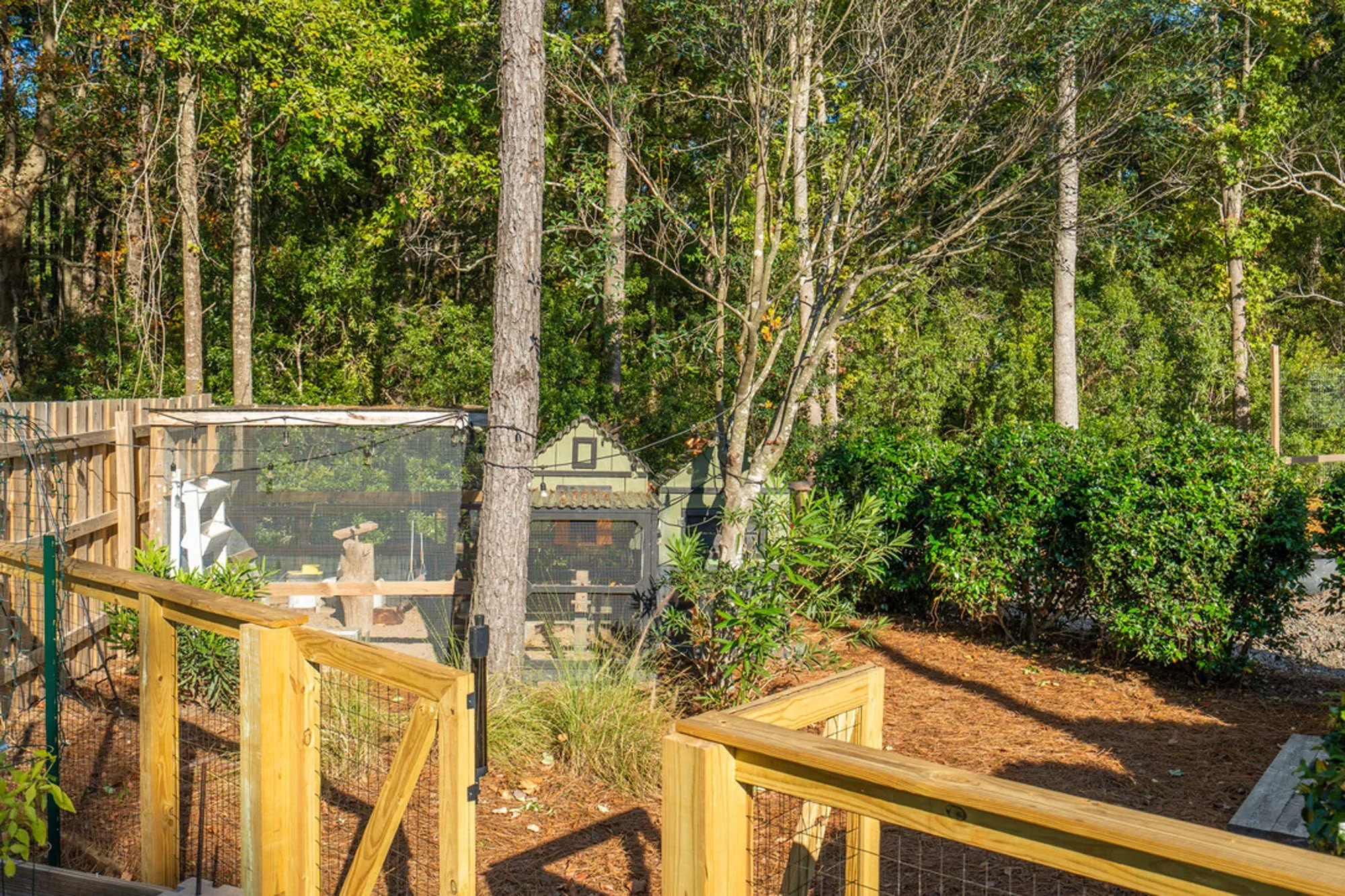 Chicken Coop (Copy)