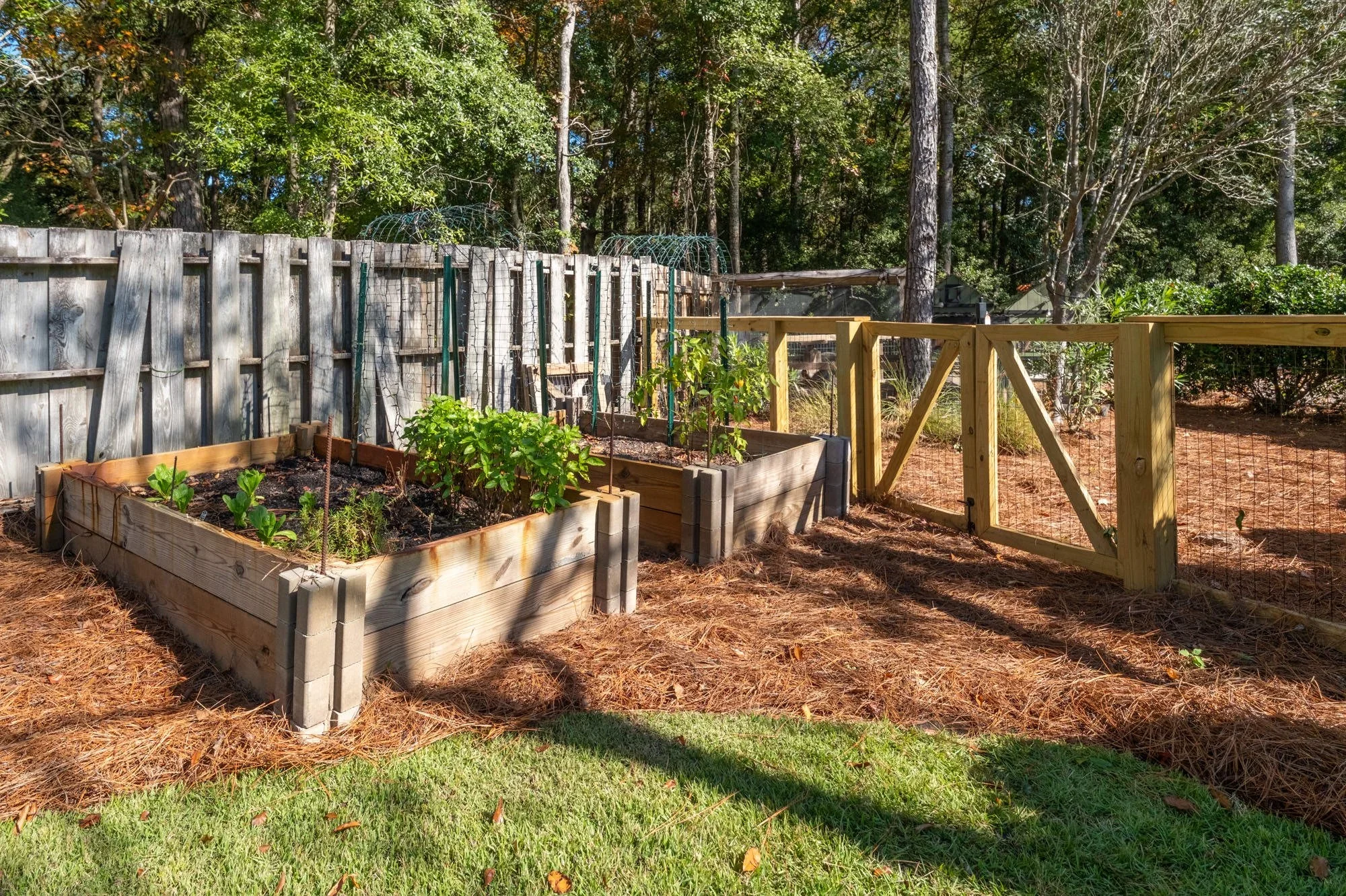 Chicken Coop (Copy)