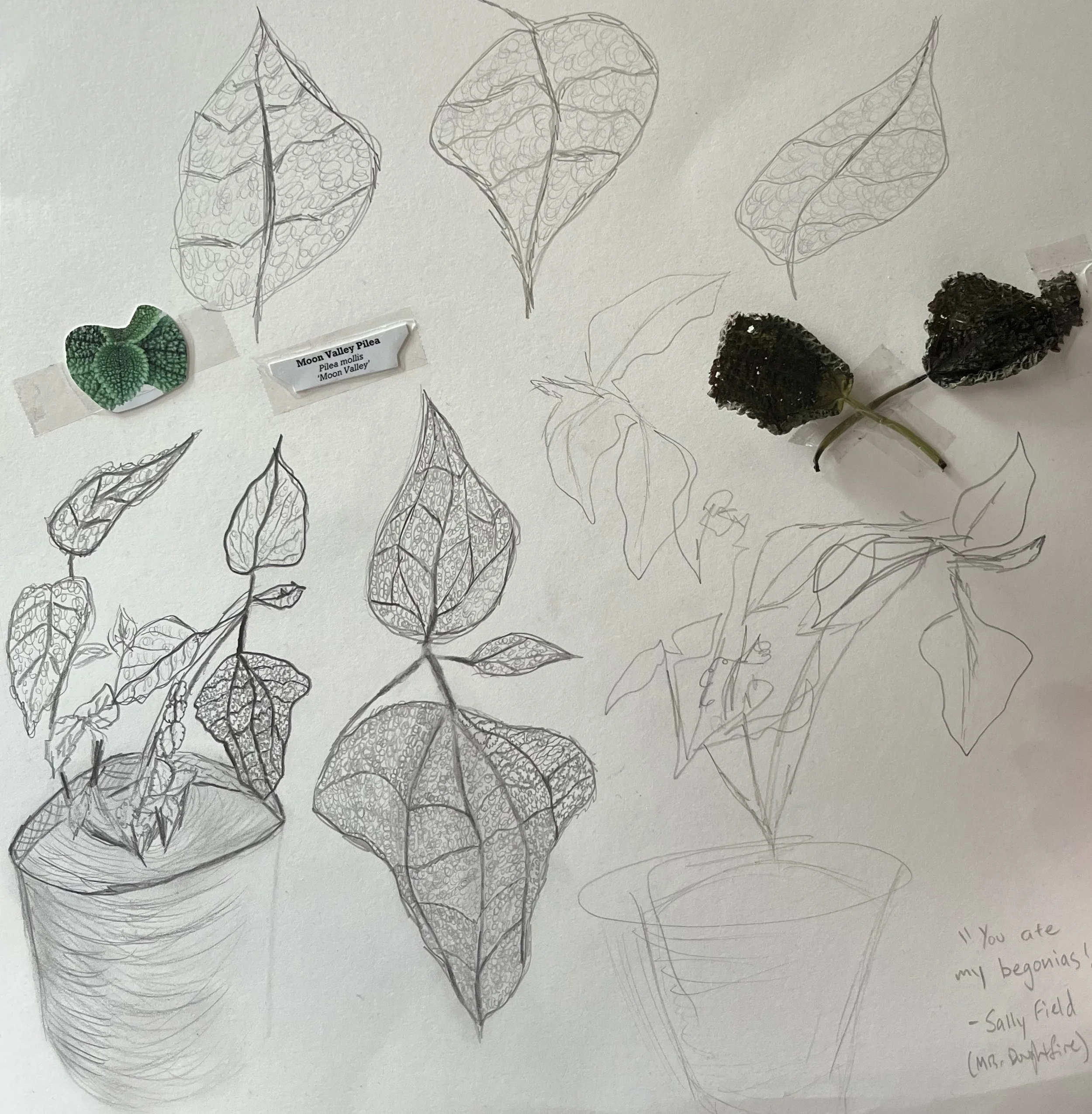 FullSizeRender (6).jpeg