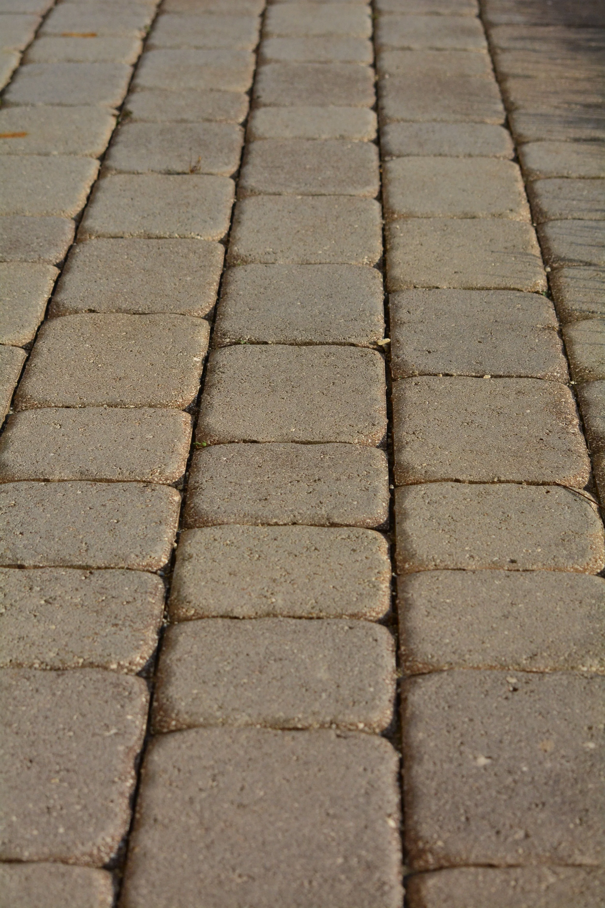 Close-up view of a paver brick pathway with arranged rectangular bricks in earthy tones.