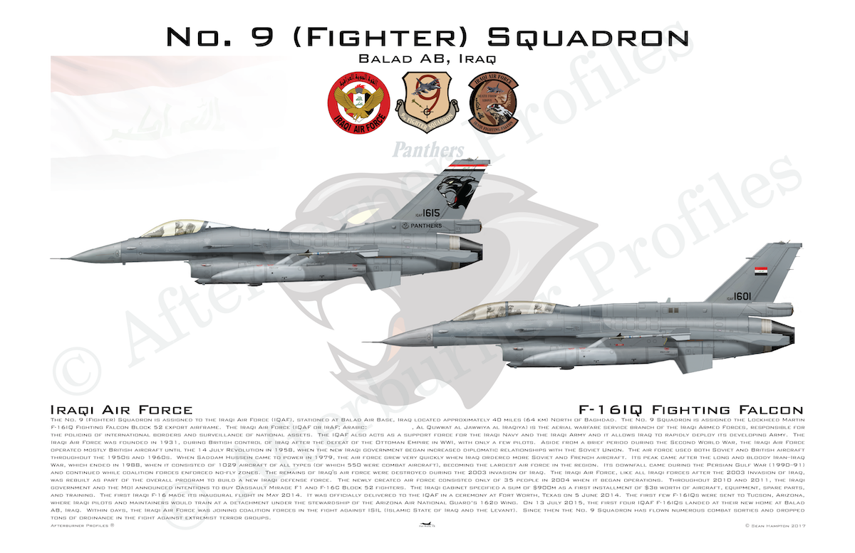 9 FS F-16IQ Dual