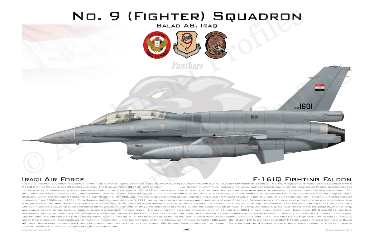 9 FS D F-16IQ
