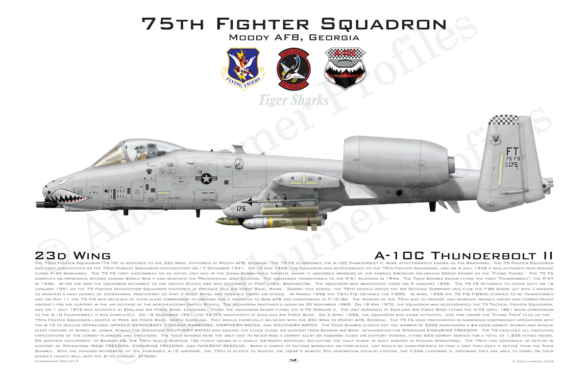 75 FS A-10C