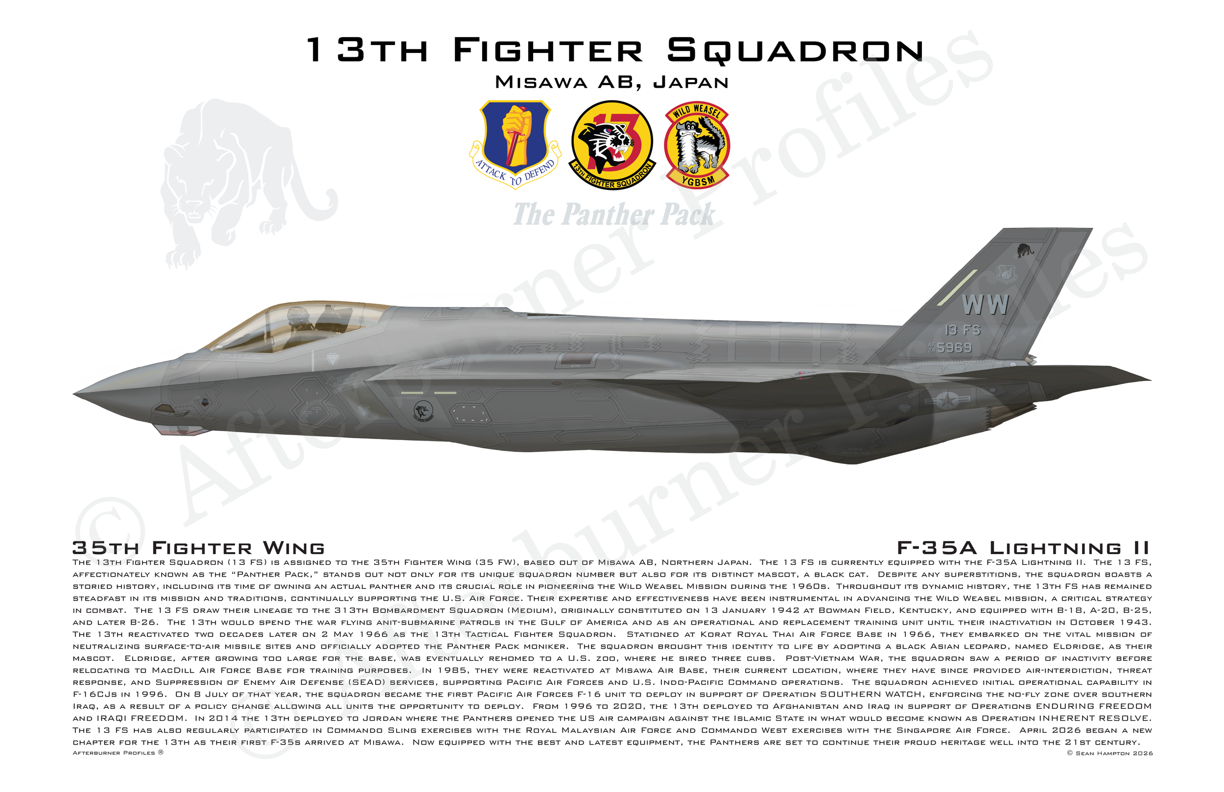 13 FS F-35A