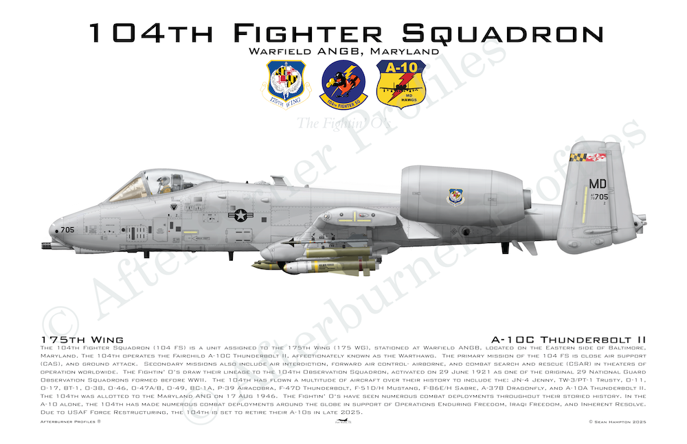 104 FS A-10C