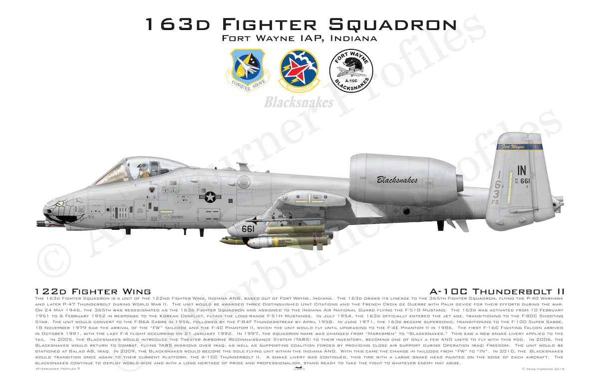 163 FS A-10C