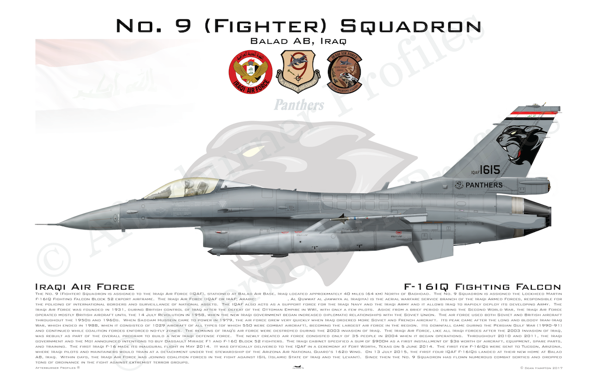 9 FS C F-16IQ