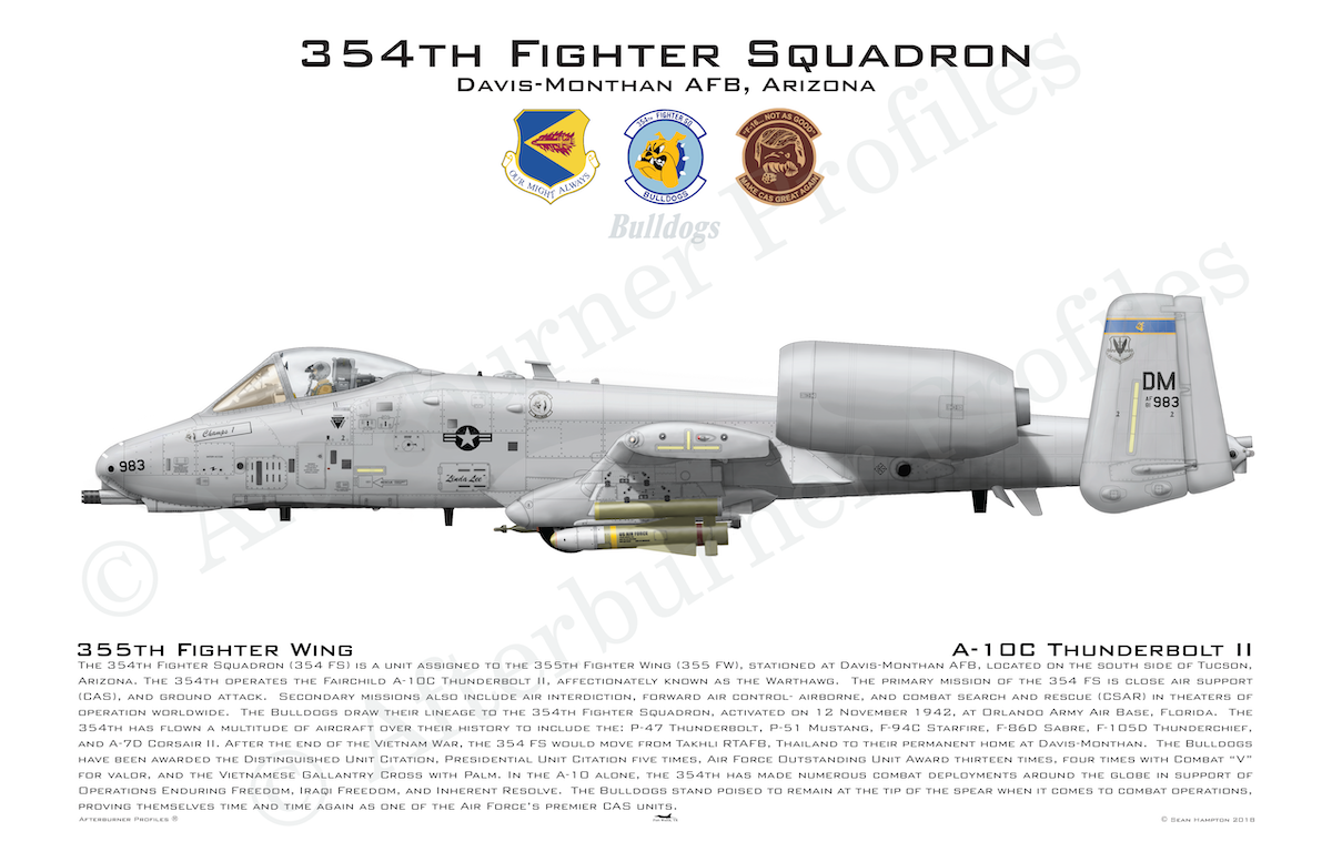 354 FS A-10C