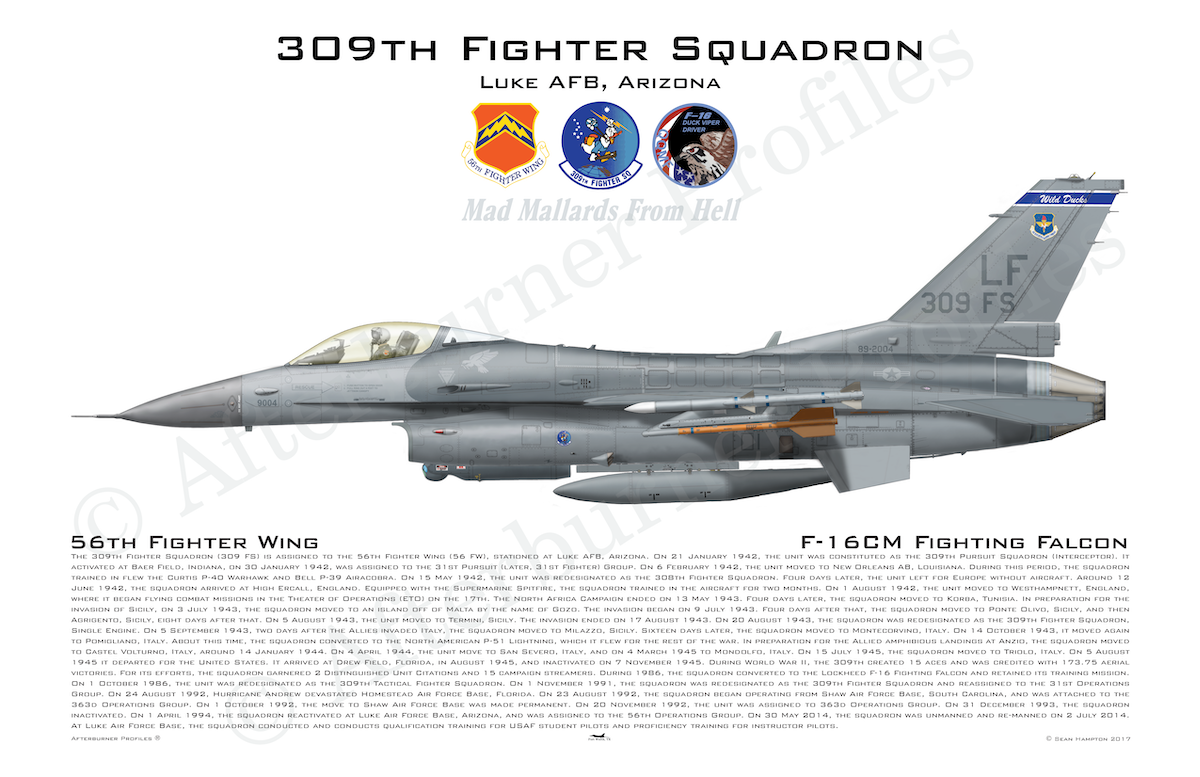 309 FS F-16CM