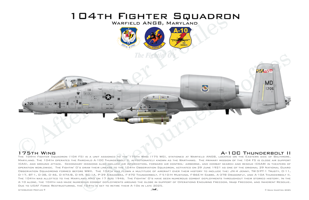 104 FS A-10C