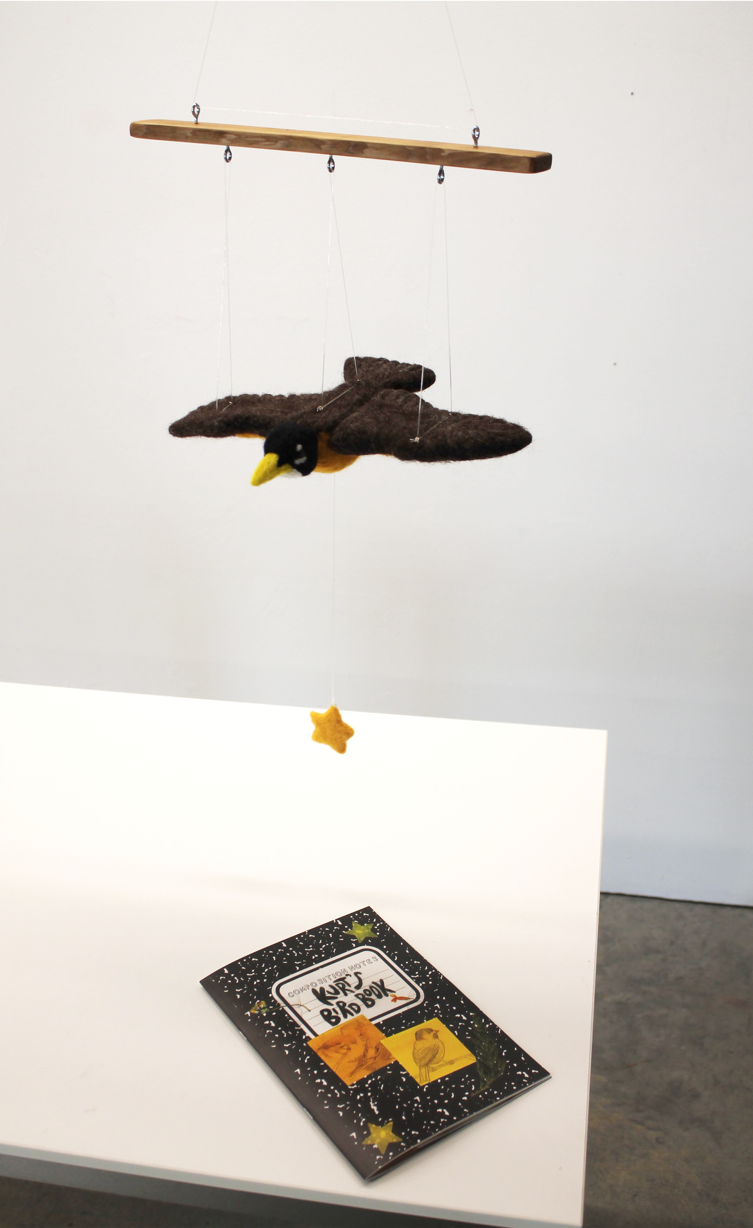 Kurt’s Bird Book and Robin Puppet