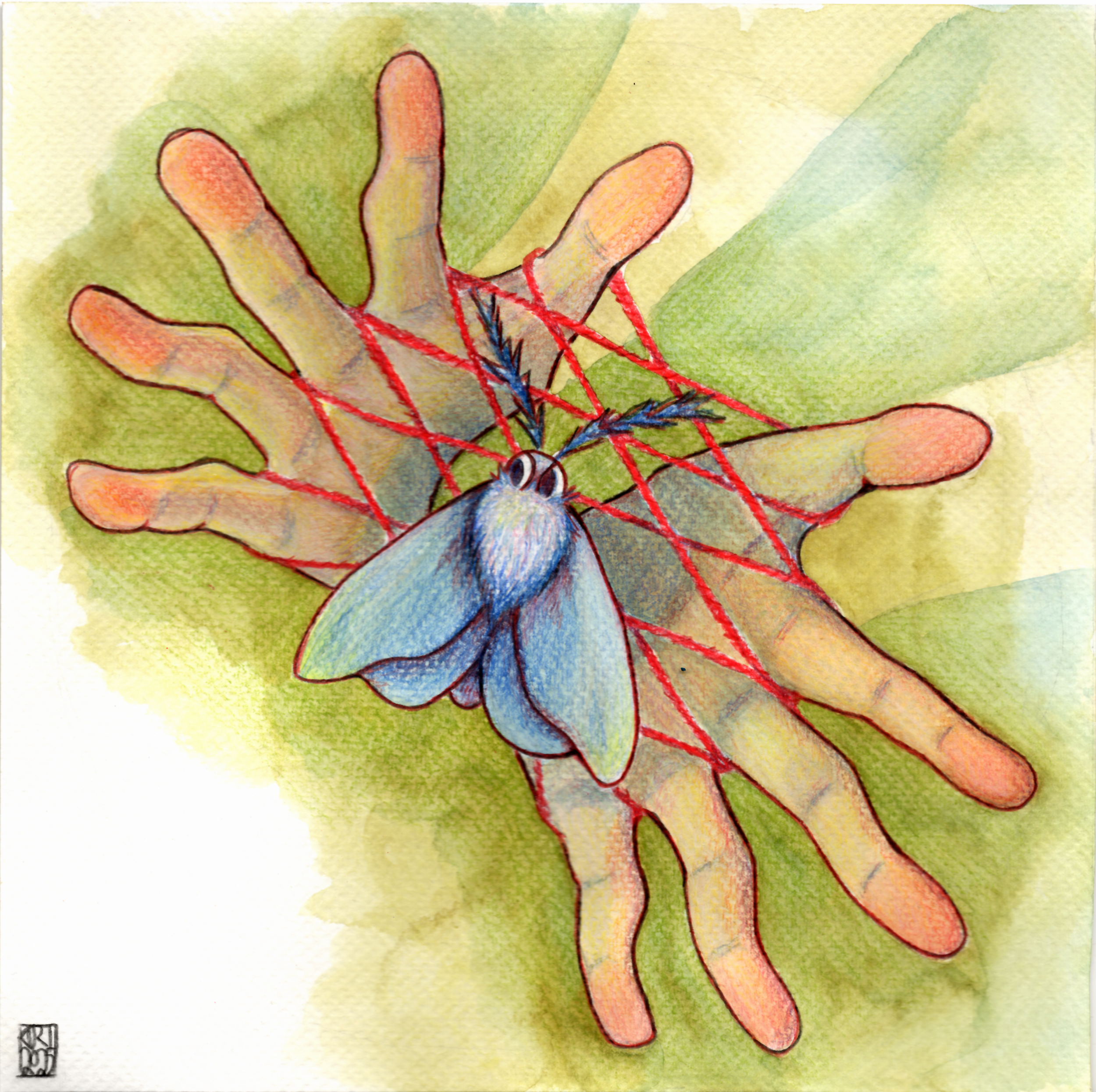 Hands holding a cats cradle pose with a moth ontop the string.