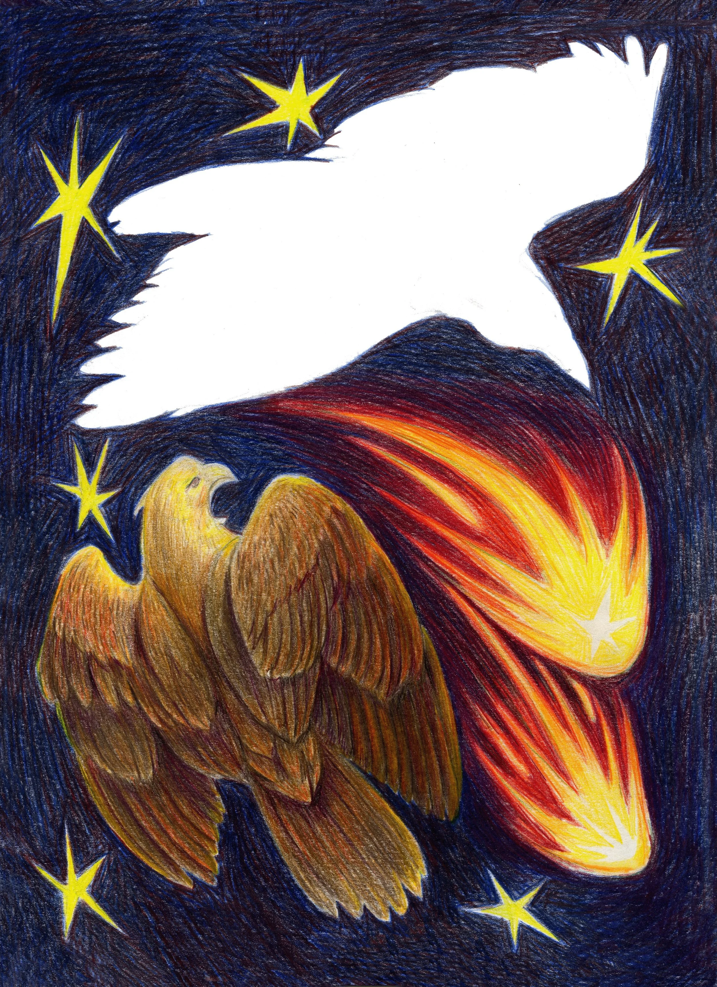 Hawk and a blanked out raven amongst stars and comets