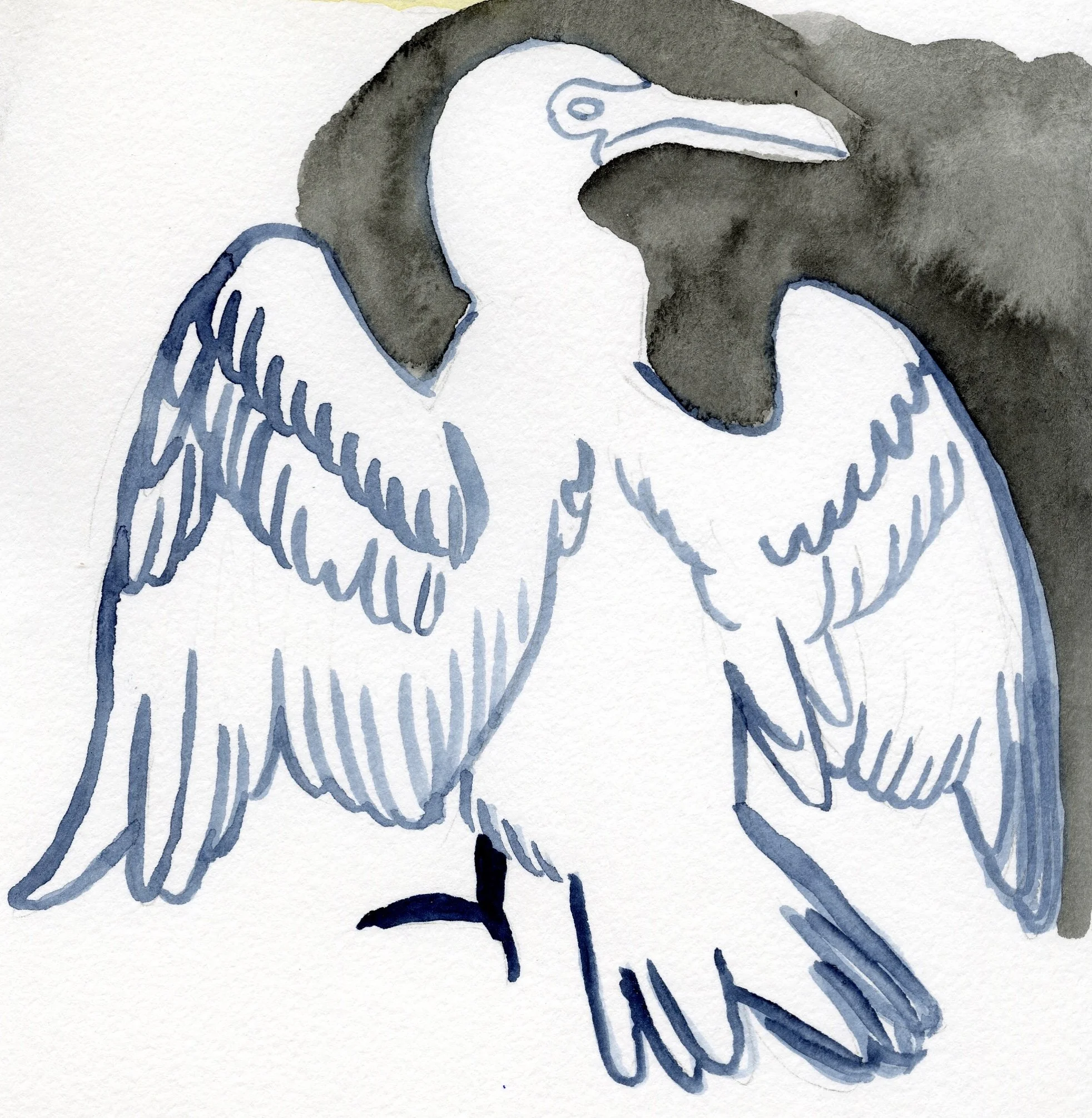 CormorantSketch2025.jpg