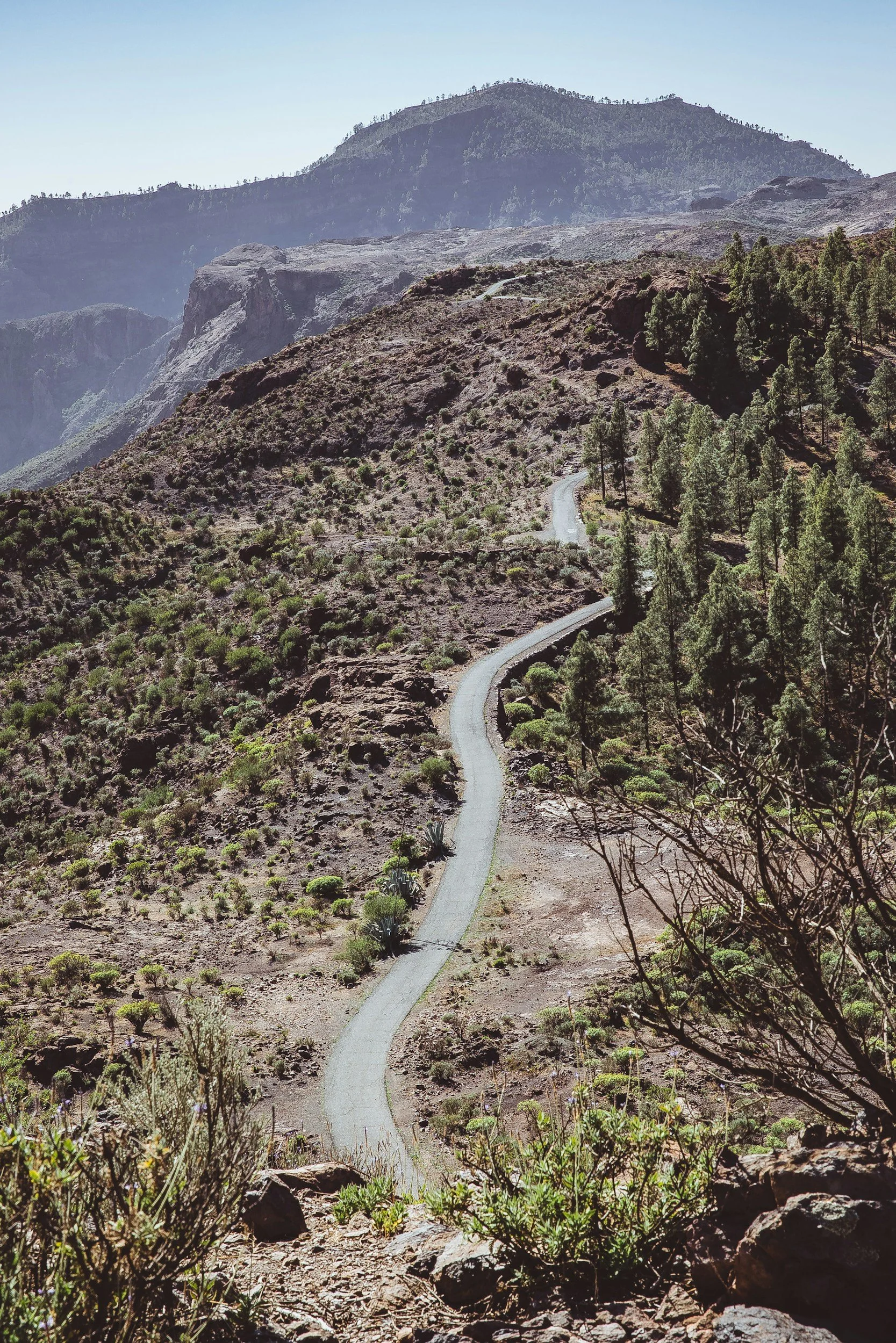 Winding mountain road through desert landscape with sparse vegetation and trees, with mountains in the background under a clear blue sky.