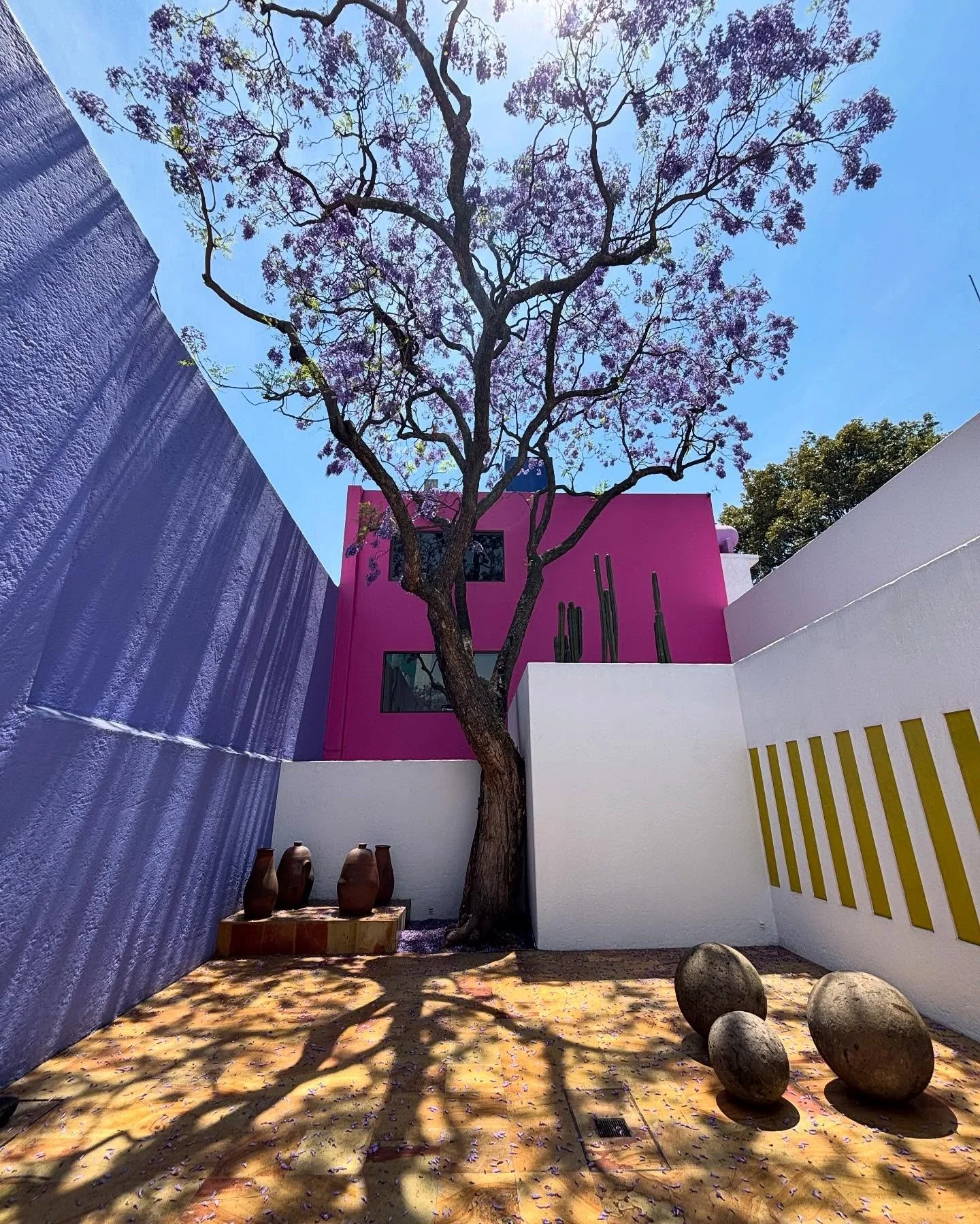 Spring in my favorite city 🌸🌸🌸