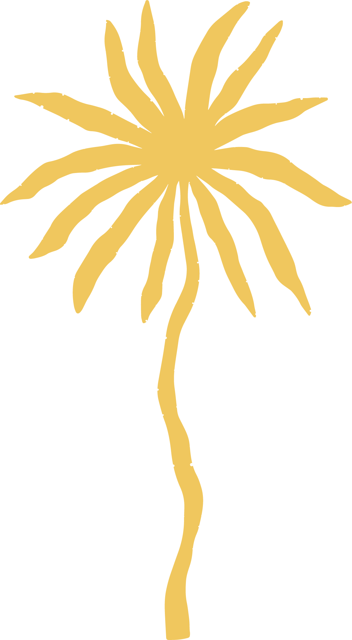 A stylized illustration of a yellow flower with elongated petals and a curved stem on a black background.