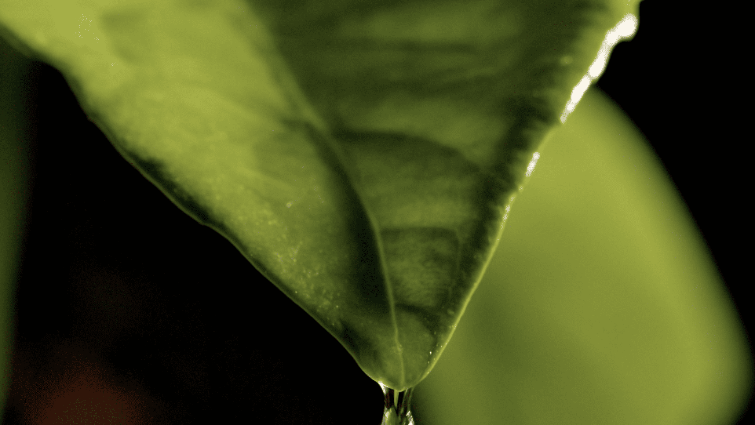 Screenshot 2026-04-08 at 15.15.27.png