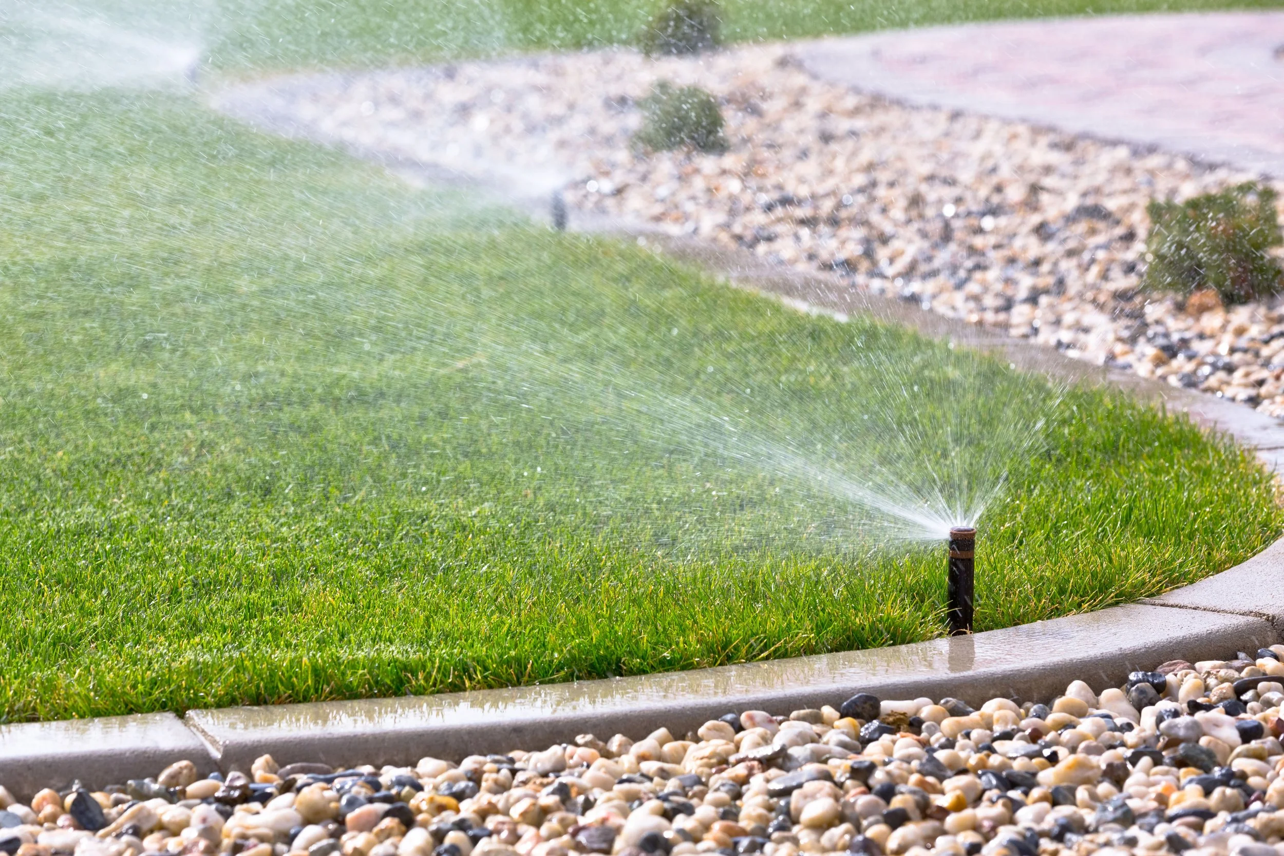 A garden sprinkler watering a grassy lawn on a sunny day with a gravel border.