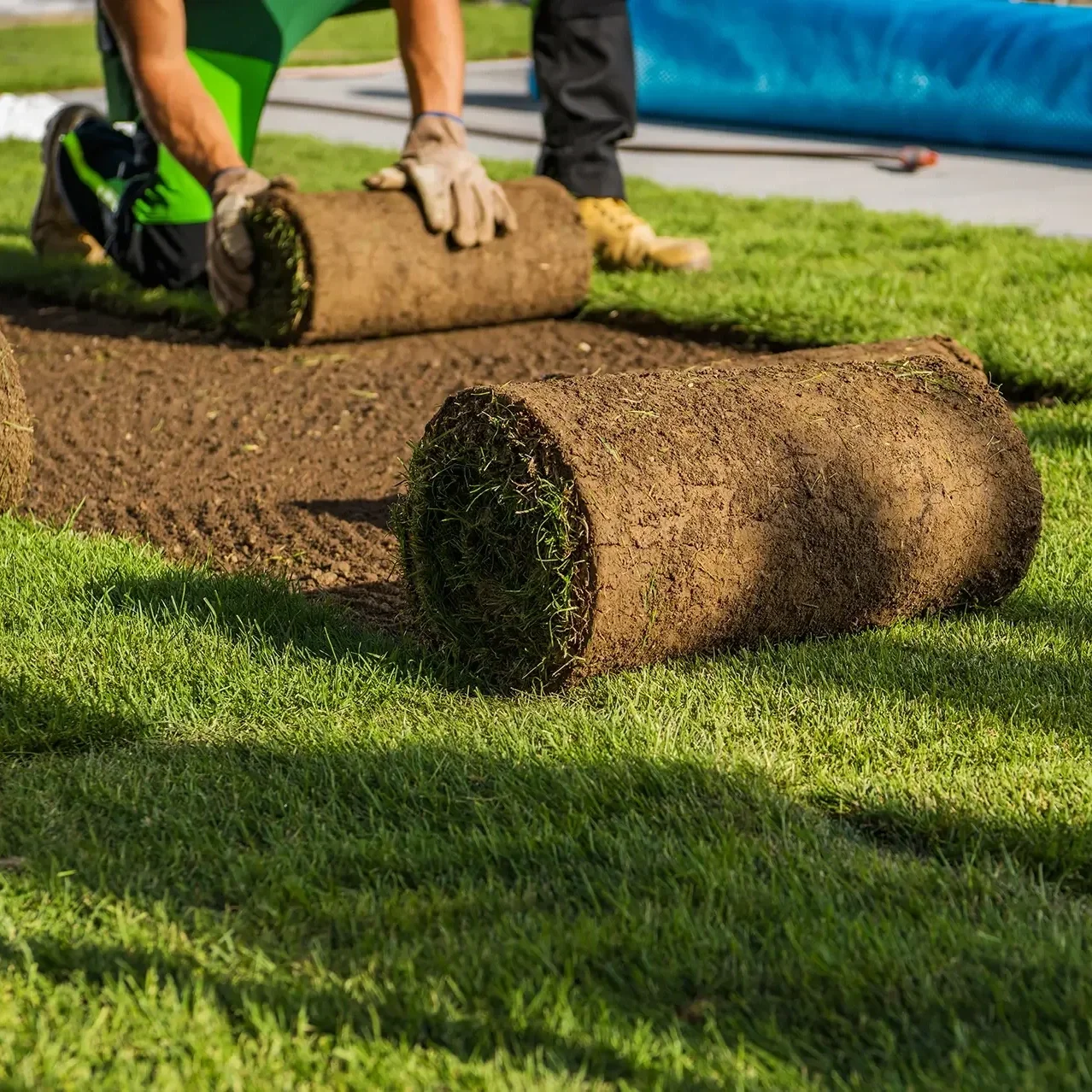 A gardener laying down sod rolls on a prepared soil patch.