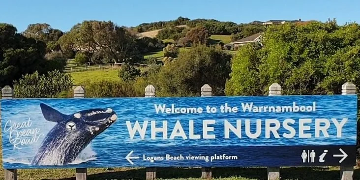 Warrnambool Whale Nursery SIgn.jpg