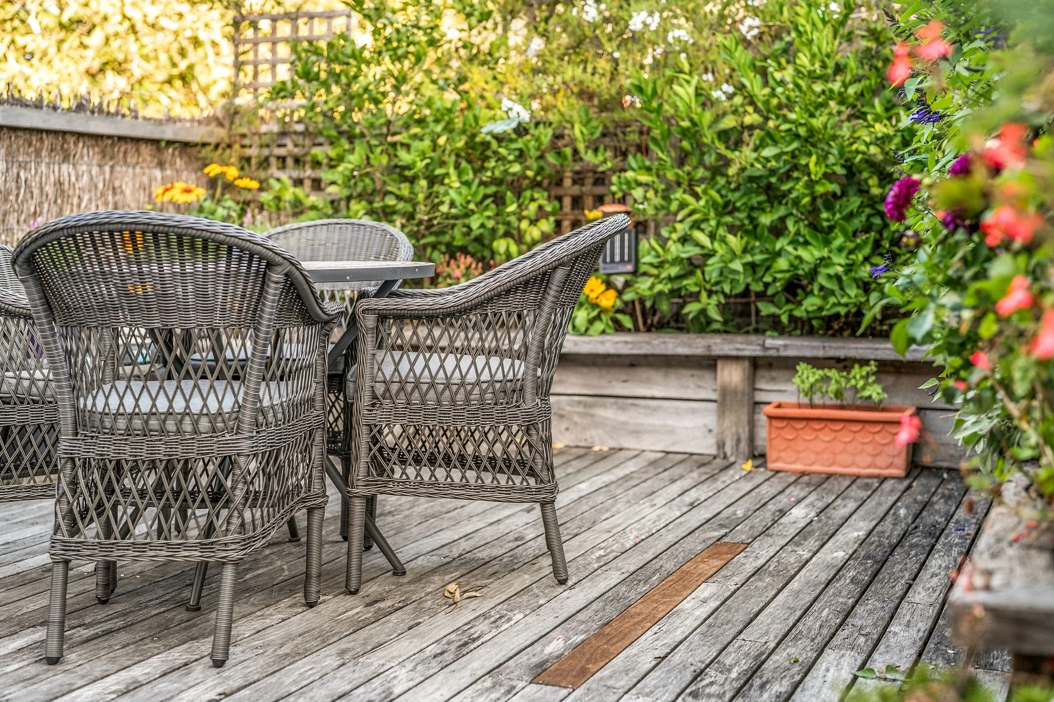 TimboonToyboxPatio.jpg