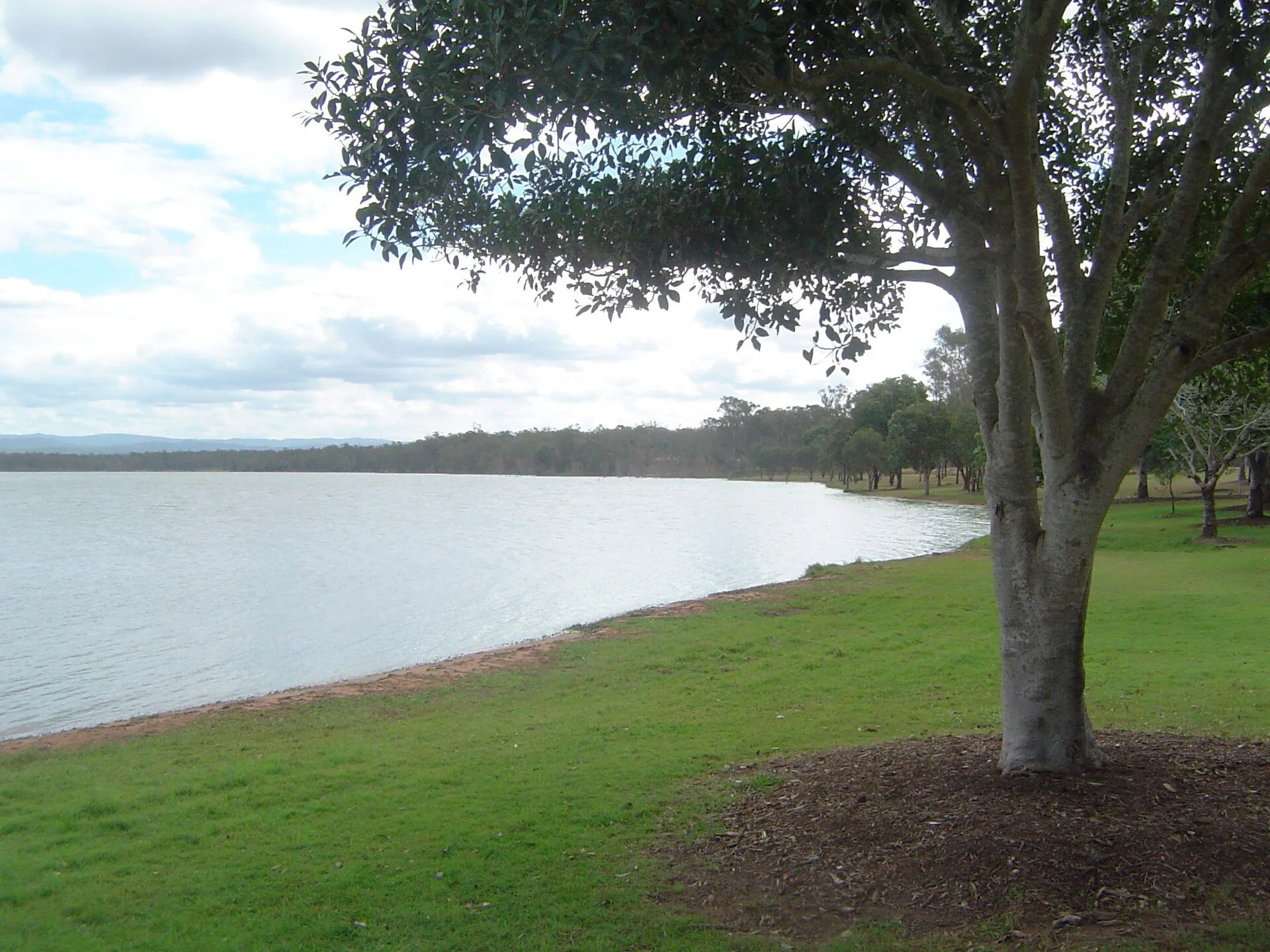 Atkinson Dam - SE QLD - May 2026