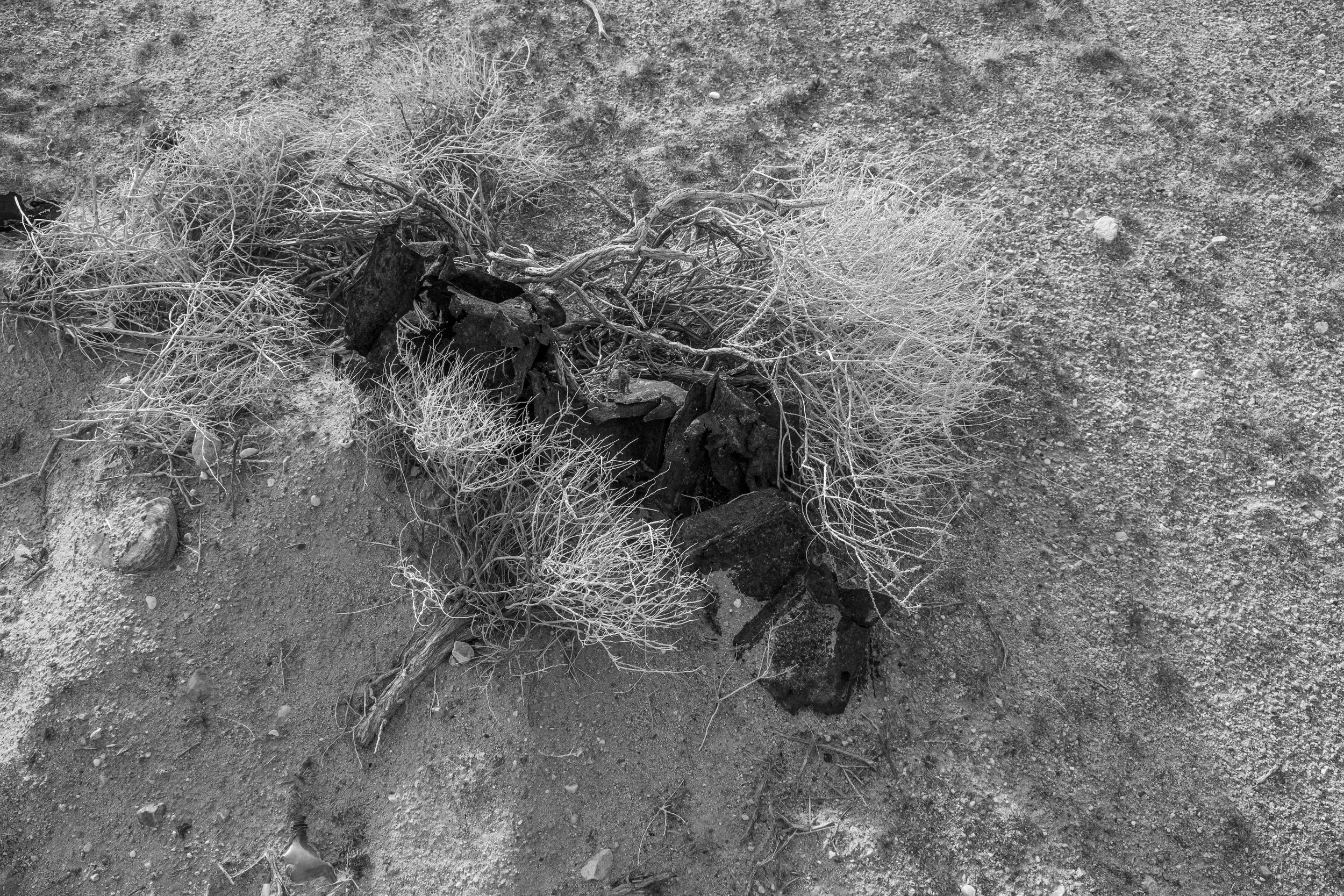 DEFENSE SITES PBR#8-15.JPG