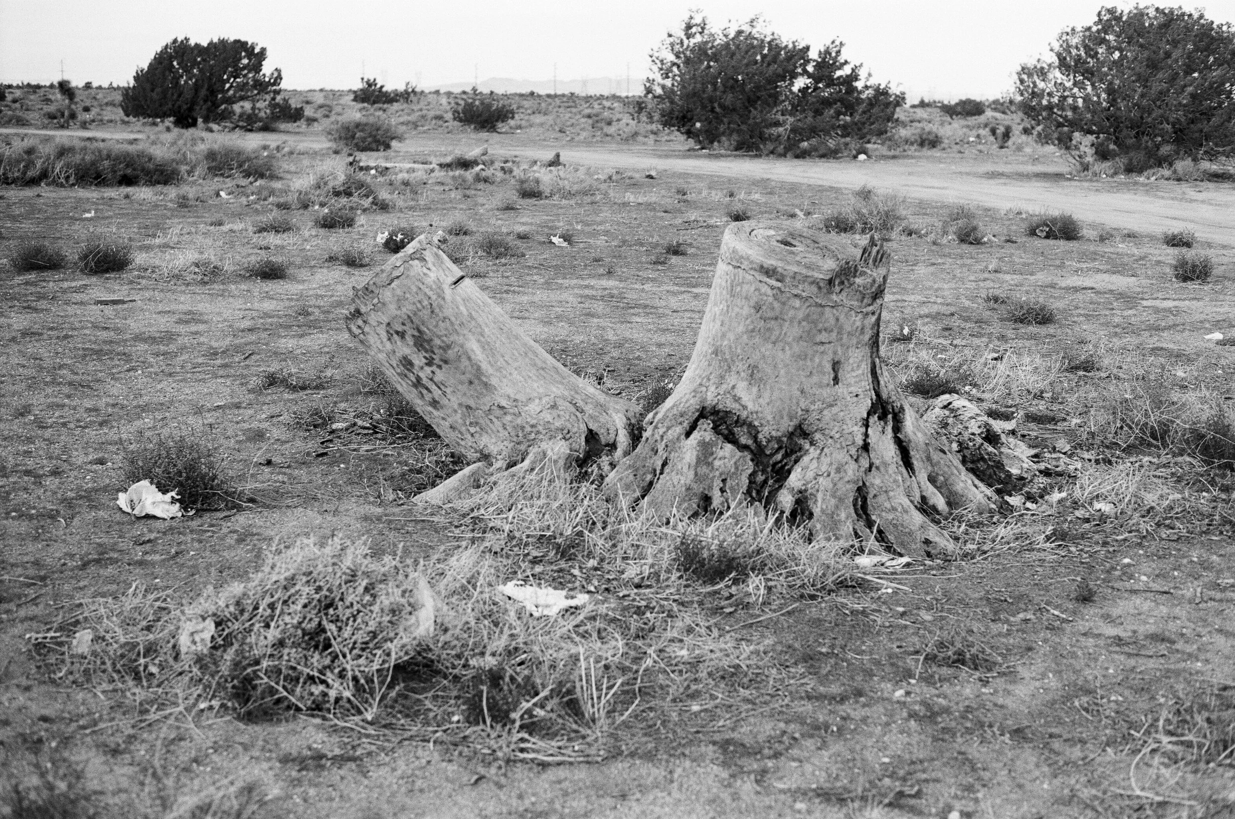 December 2022-44.jpg