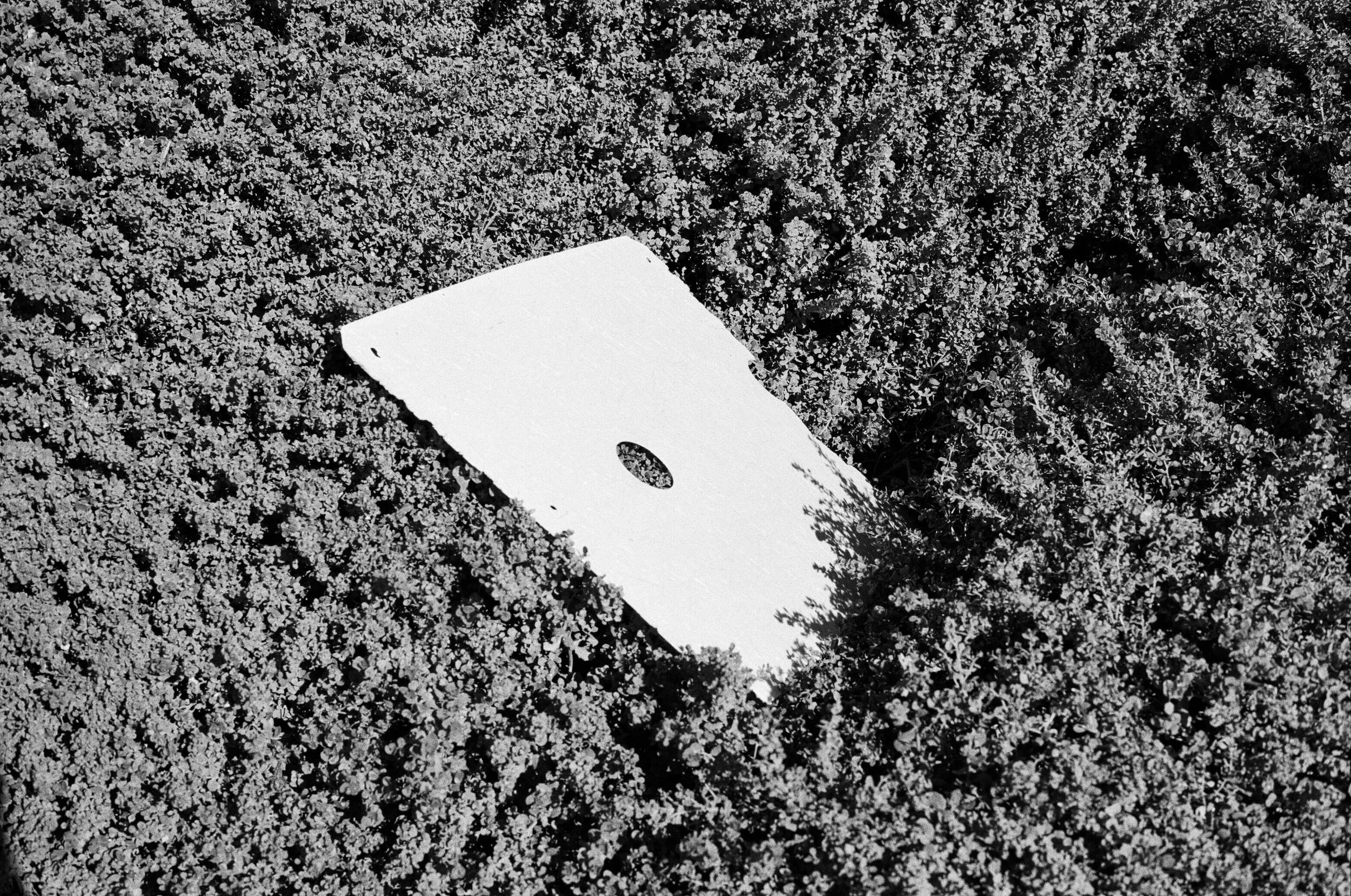 September 2023-1-37.jpg